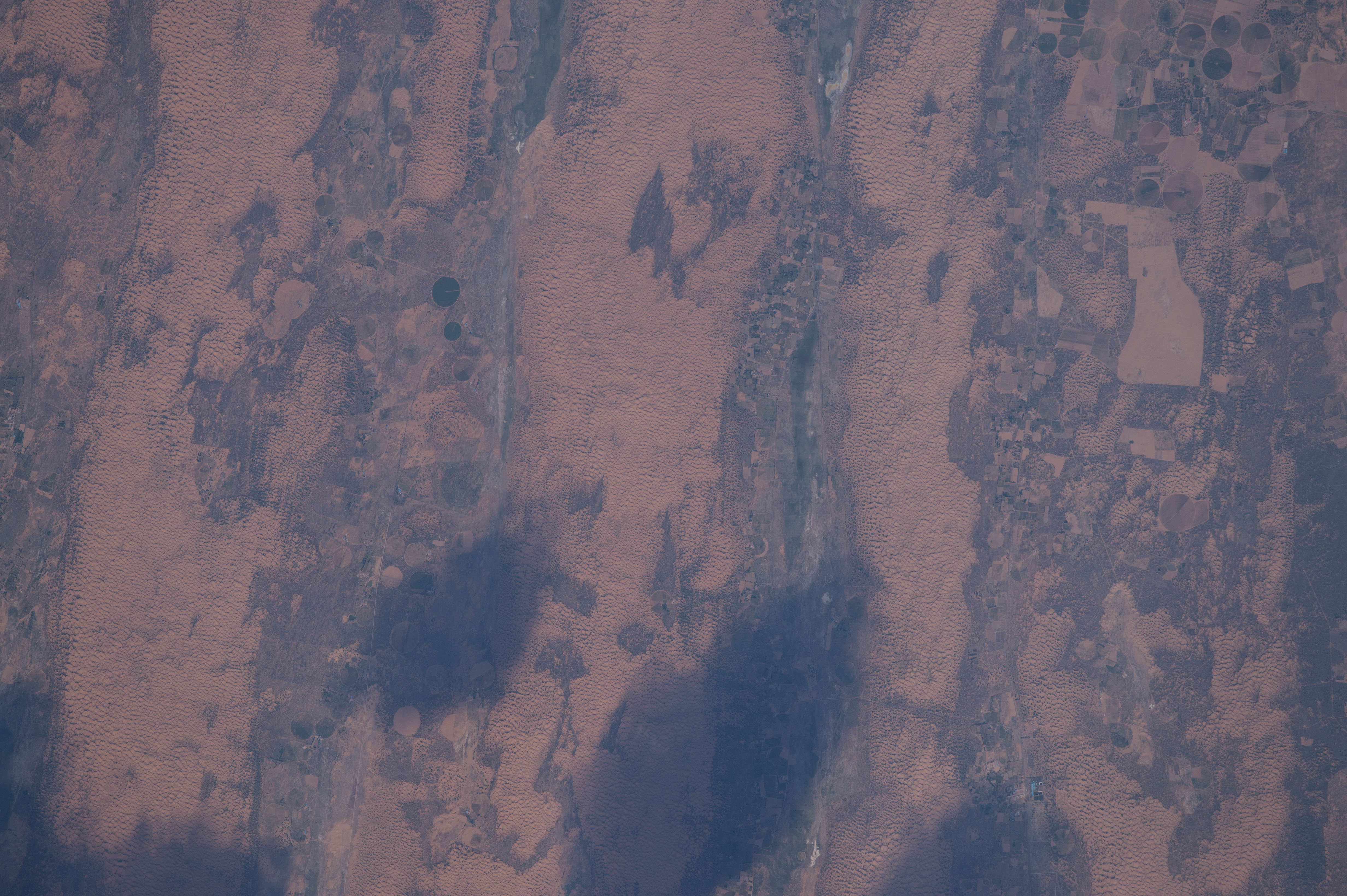 Image display