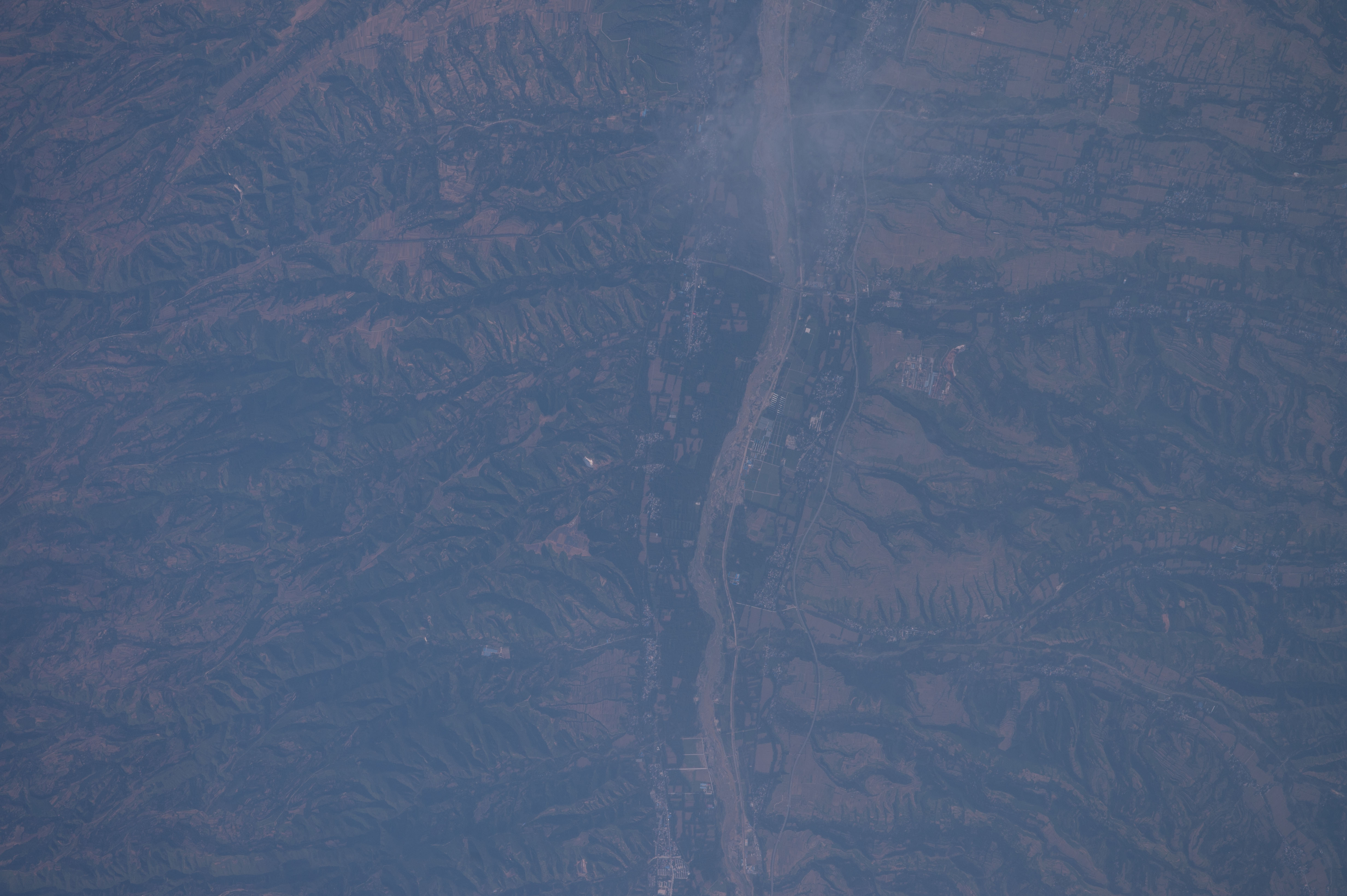 Image display