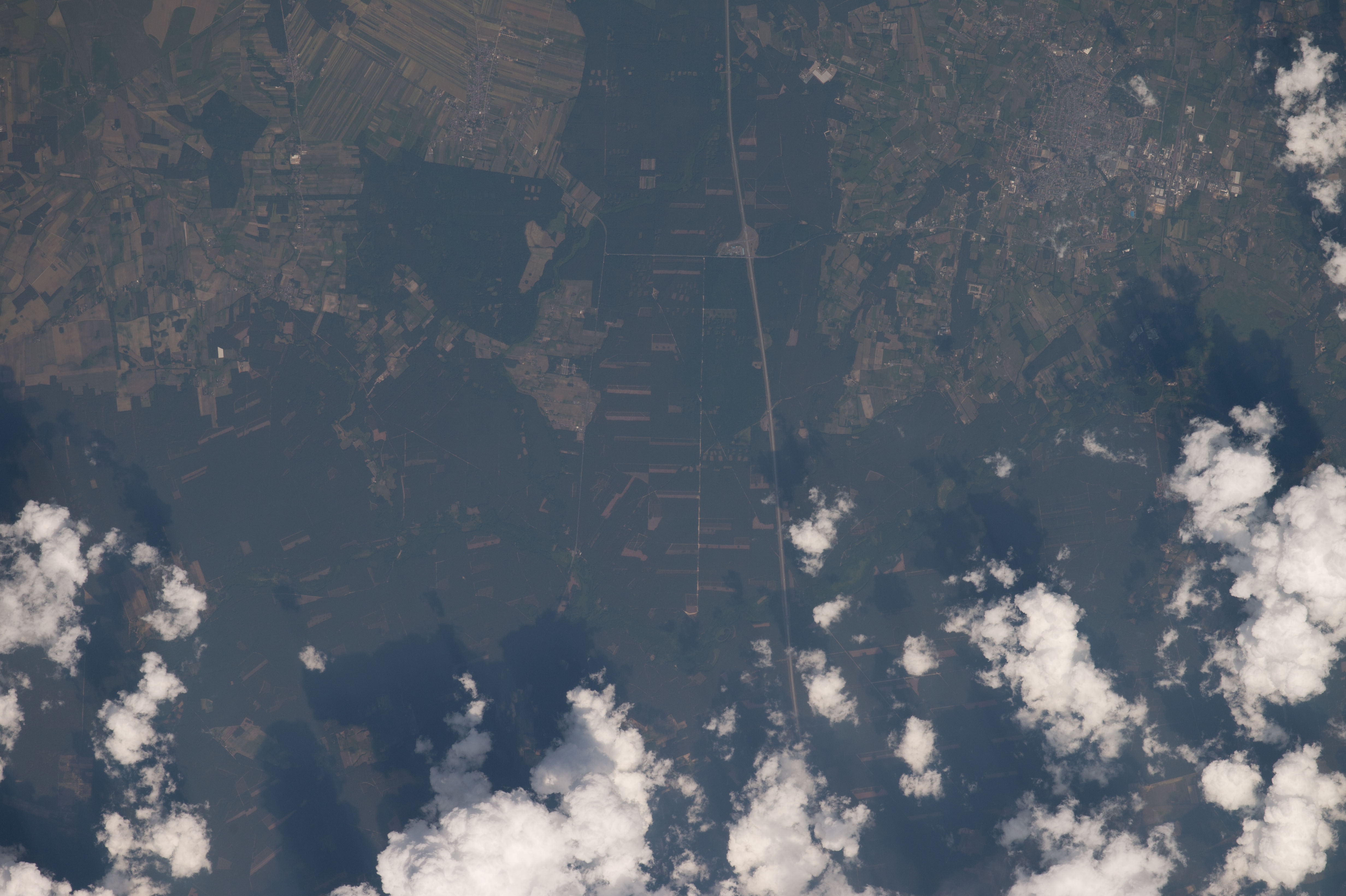Image display