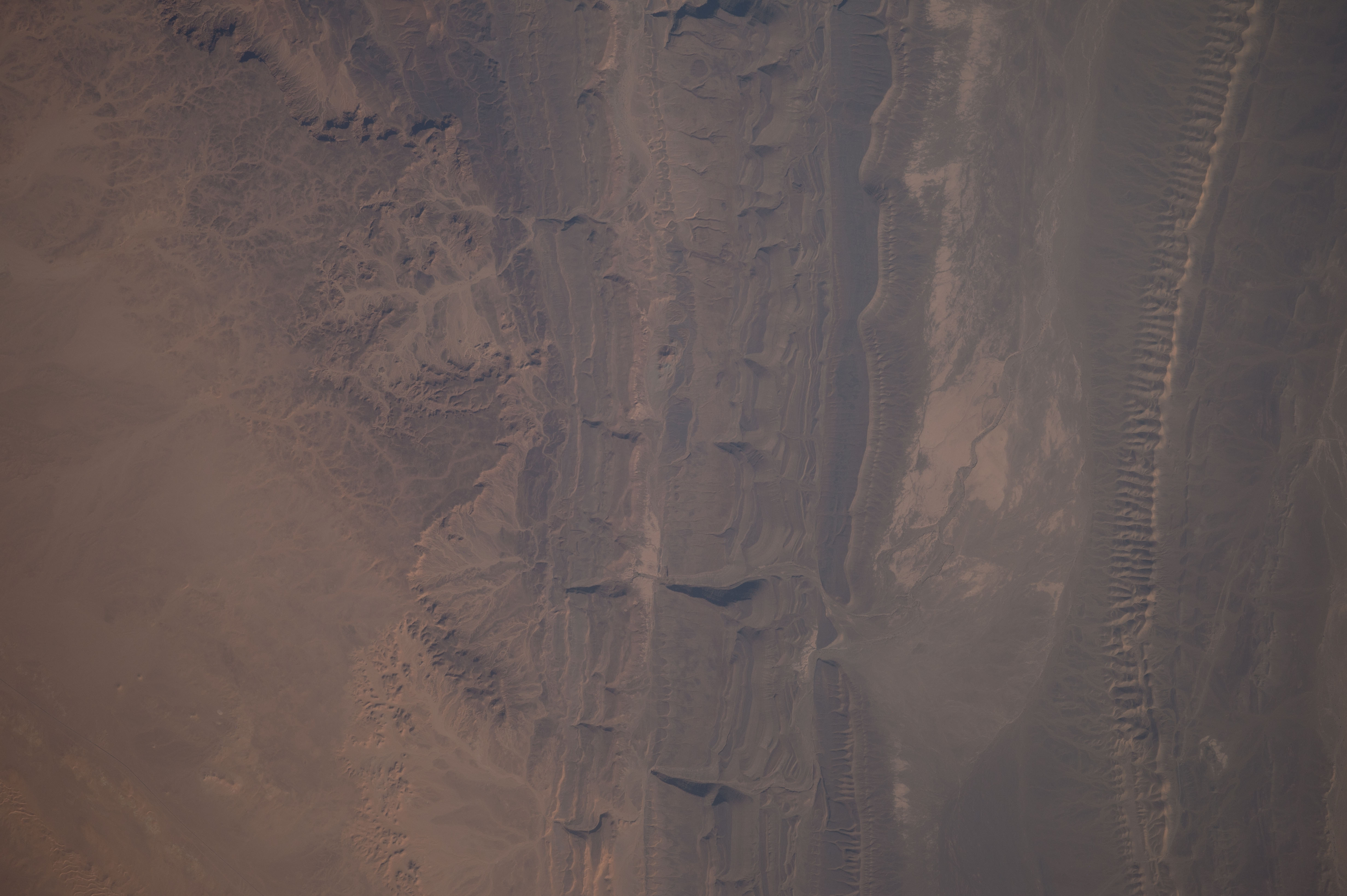 Image display
