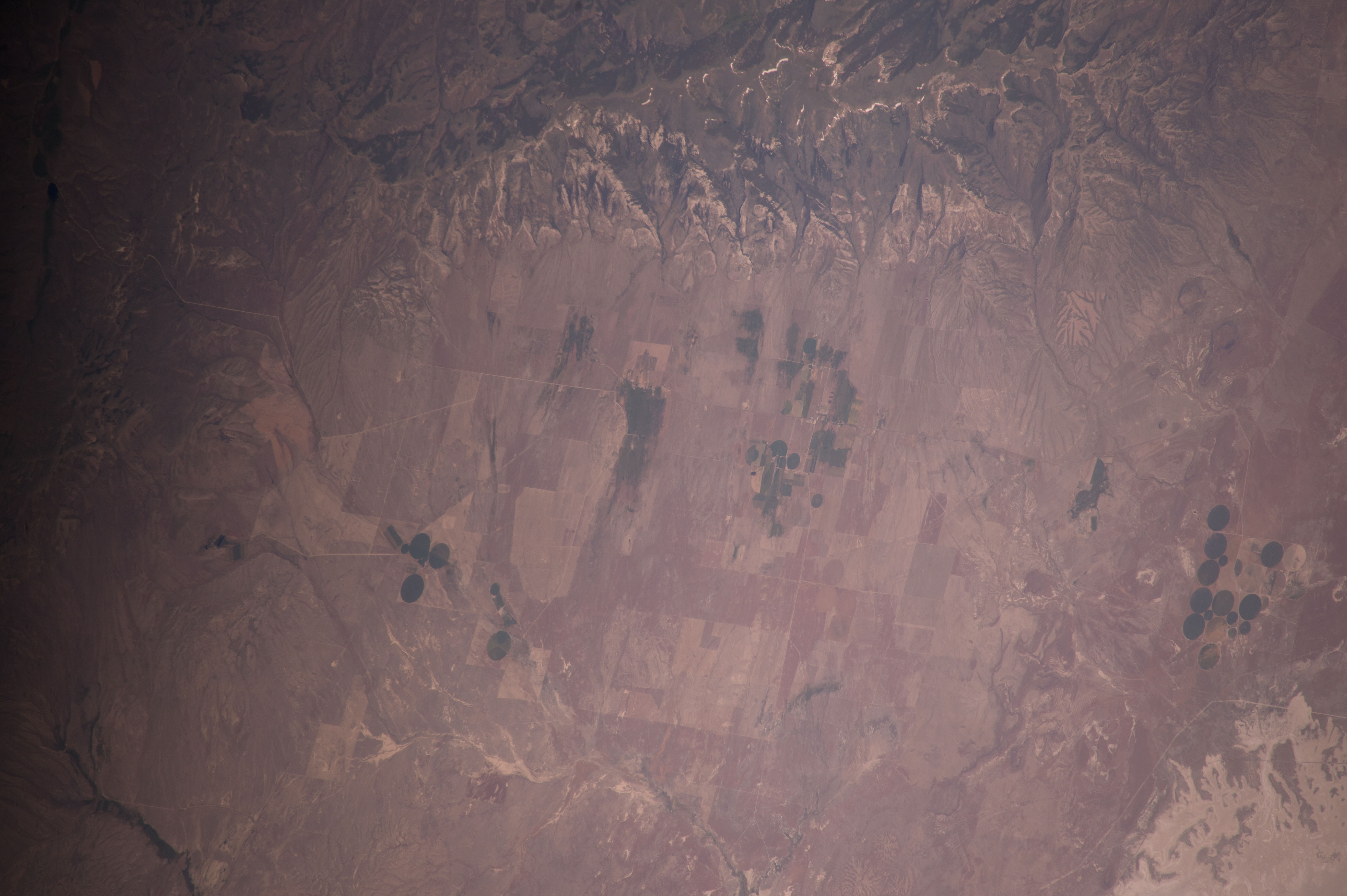 Image display