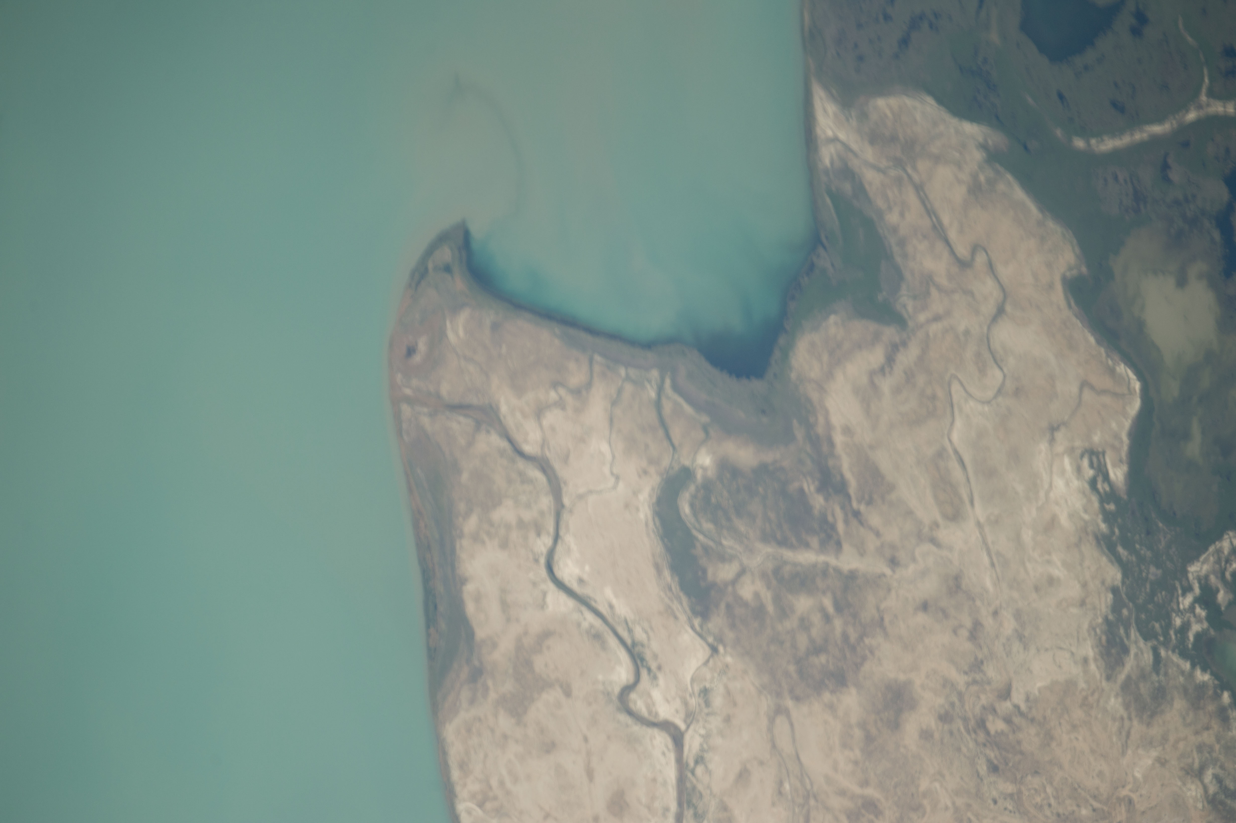 Image display