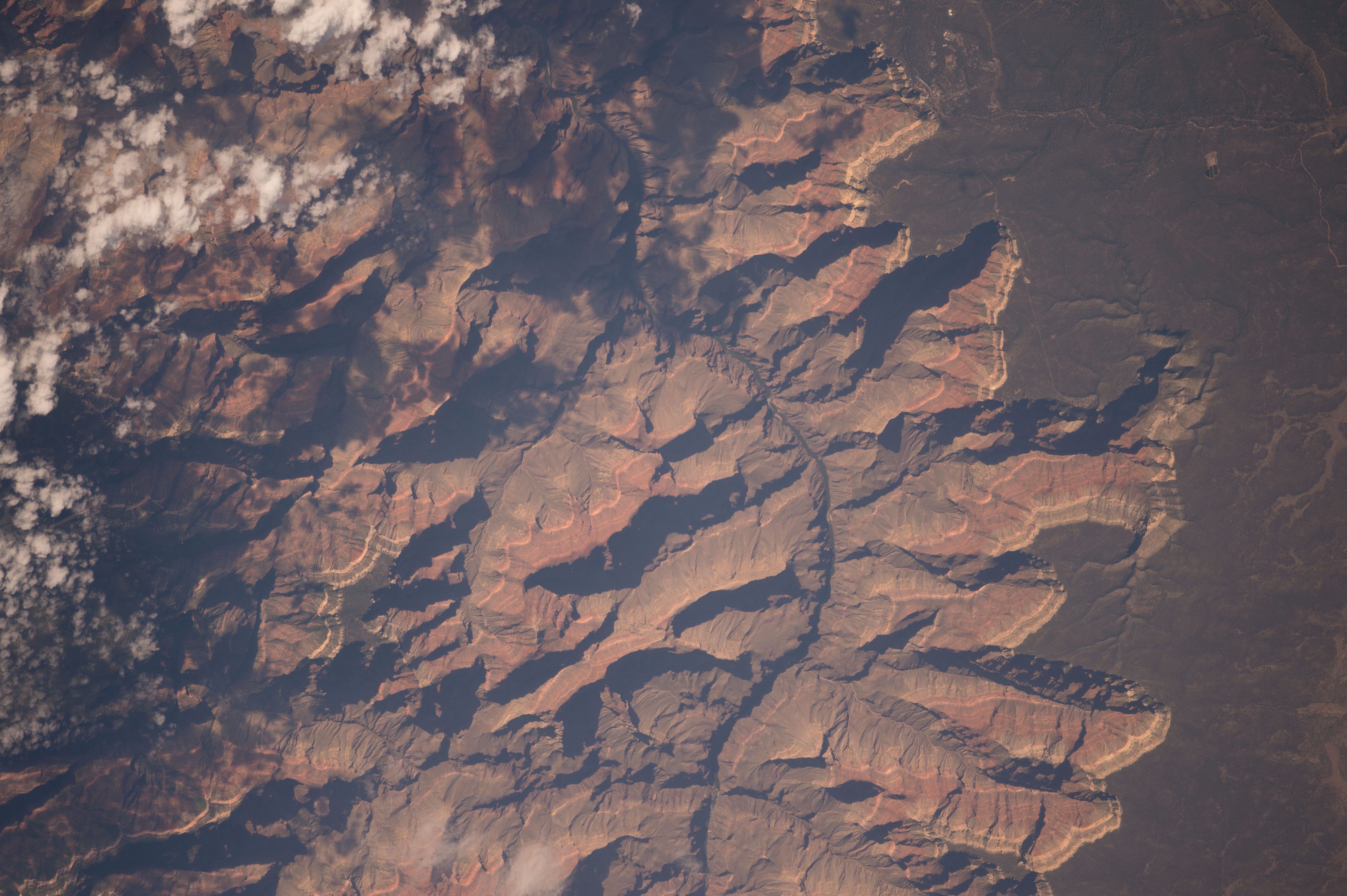 Image display
