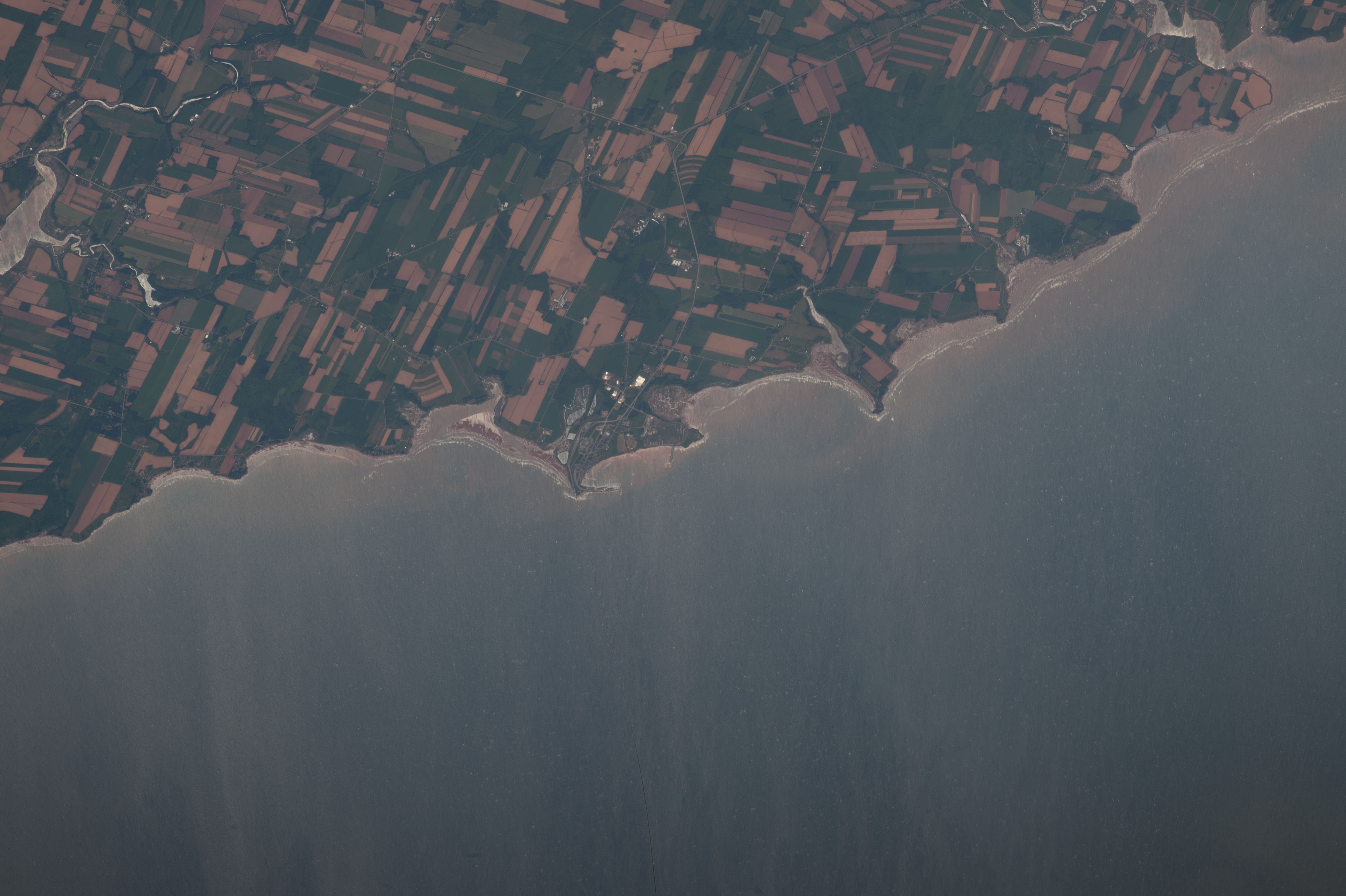 Image display