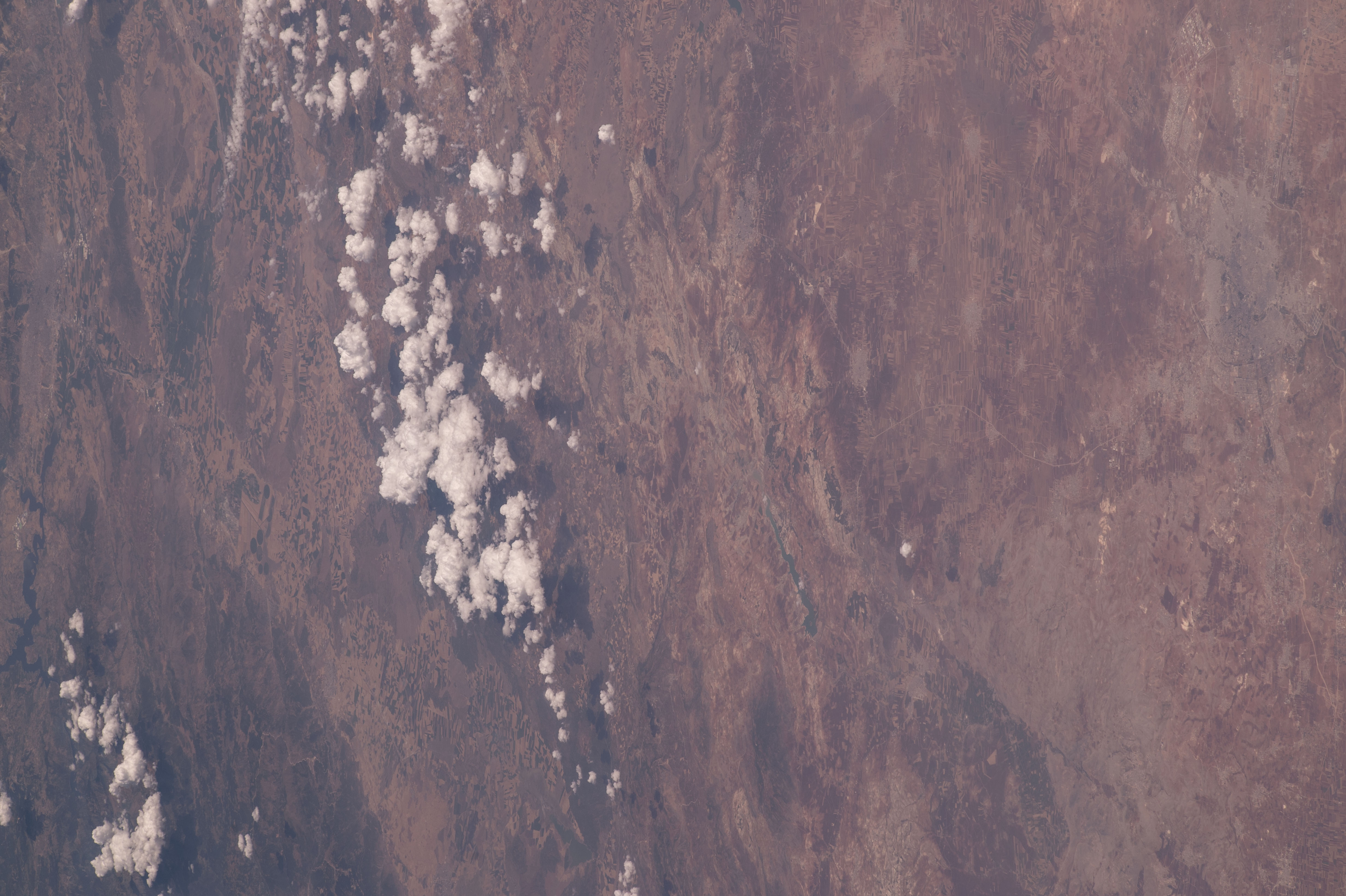 Image display