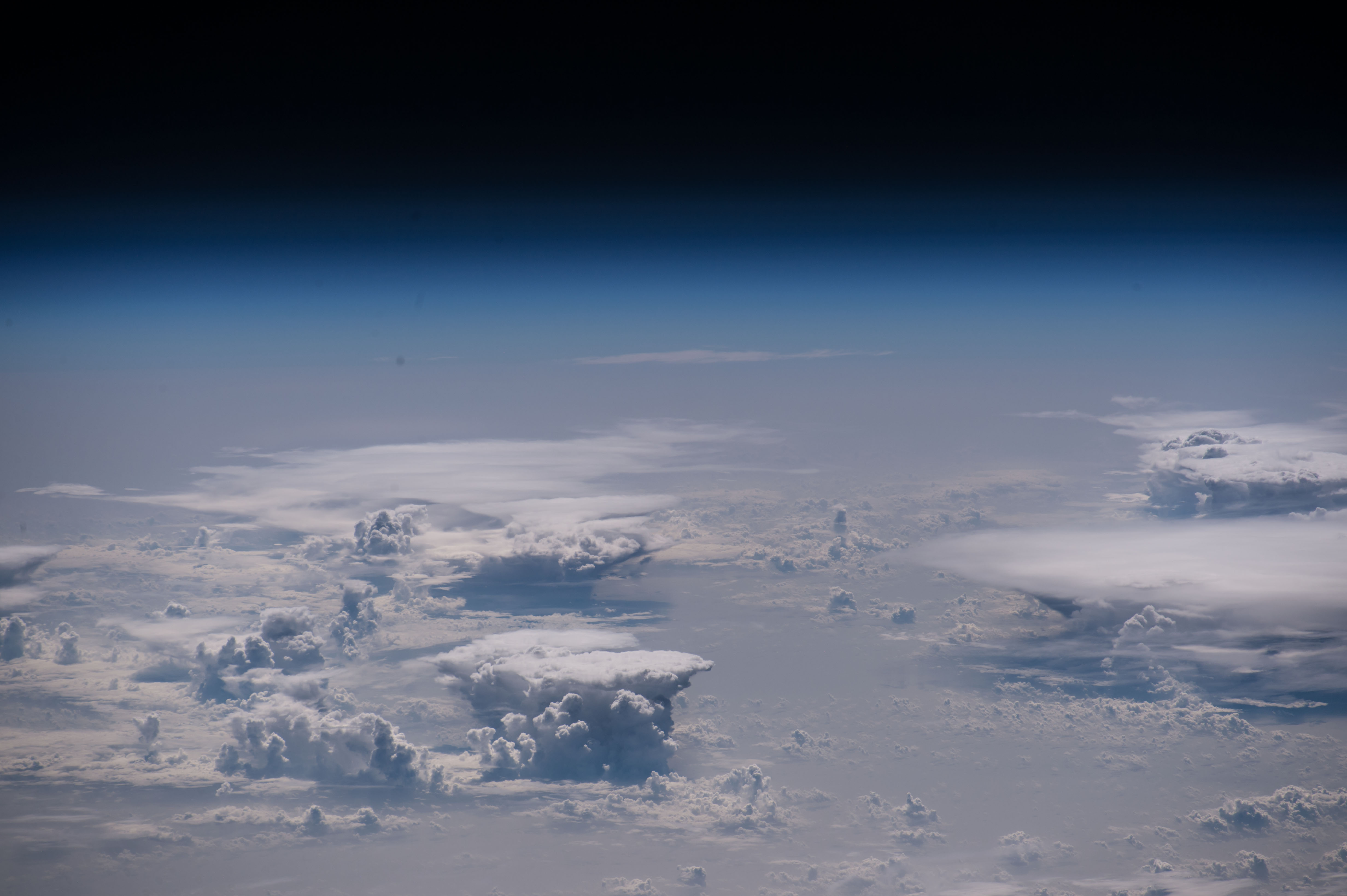 Image display