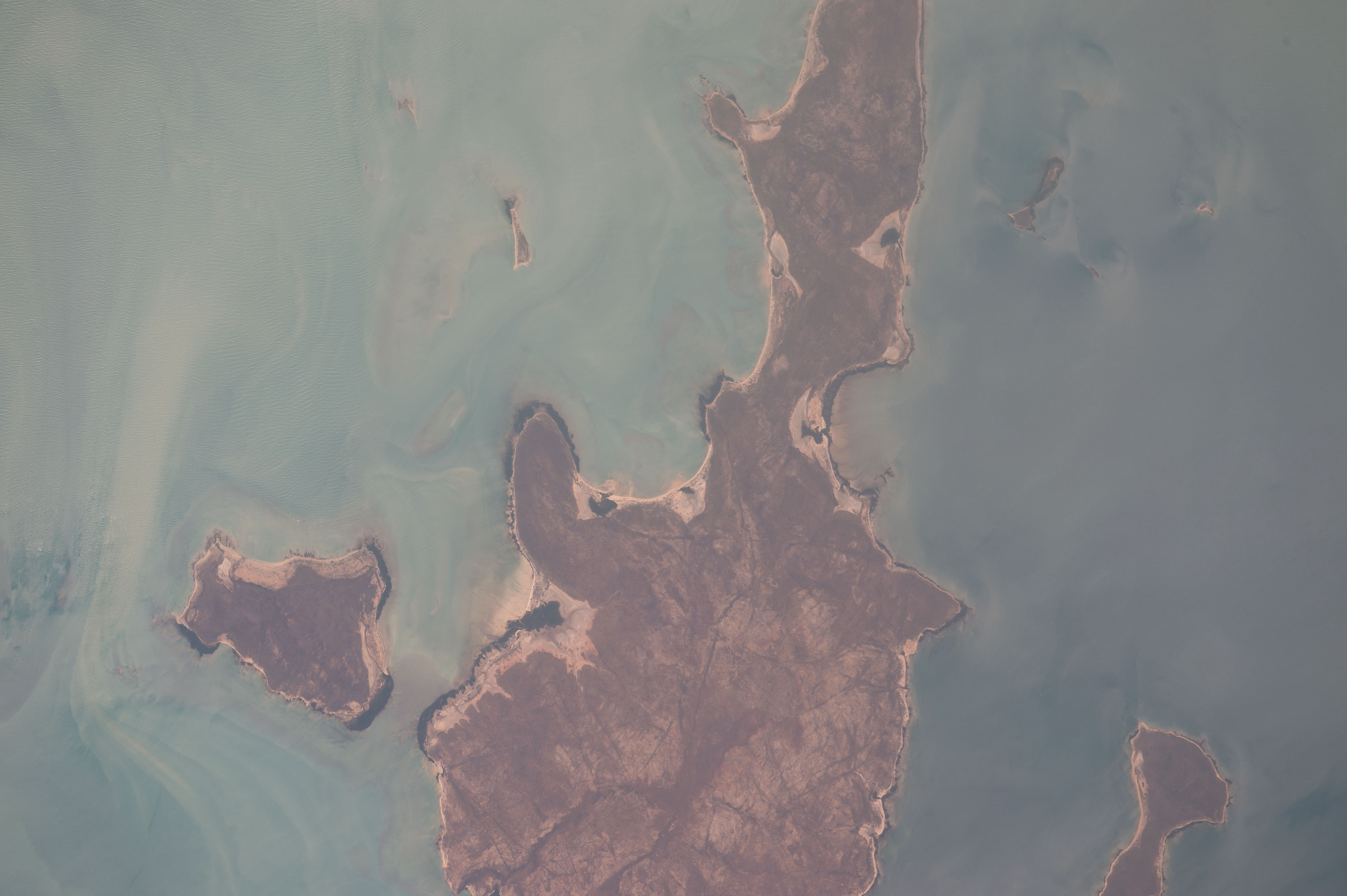 Image display