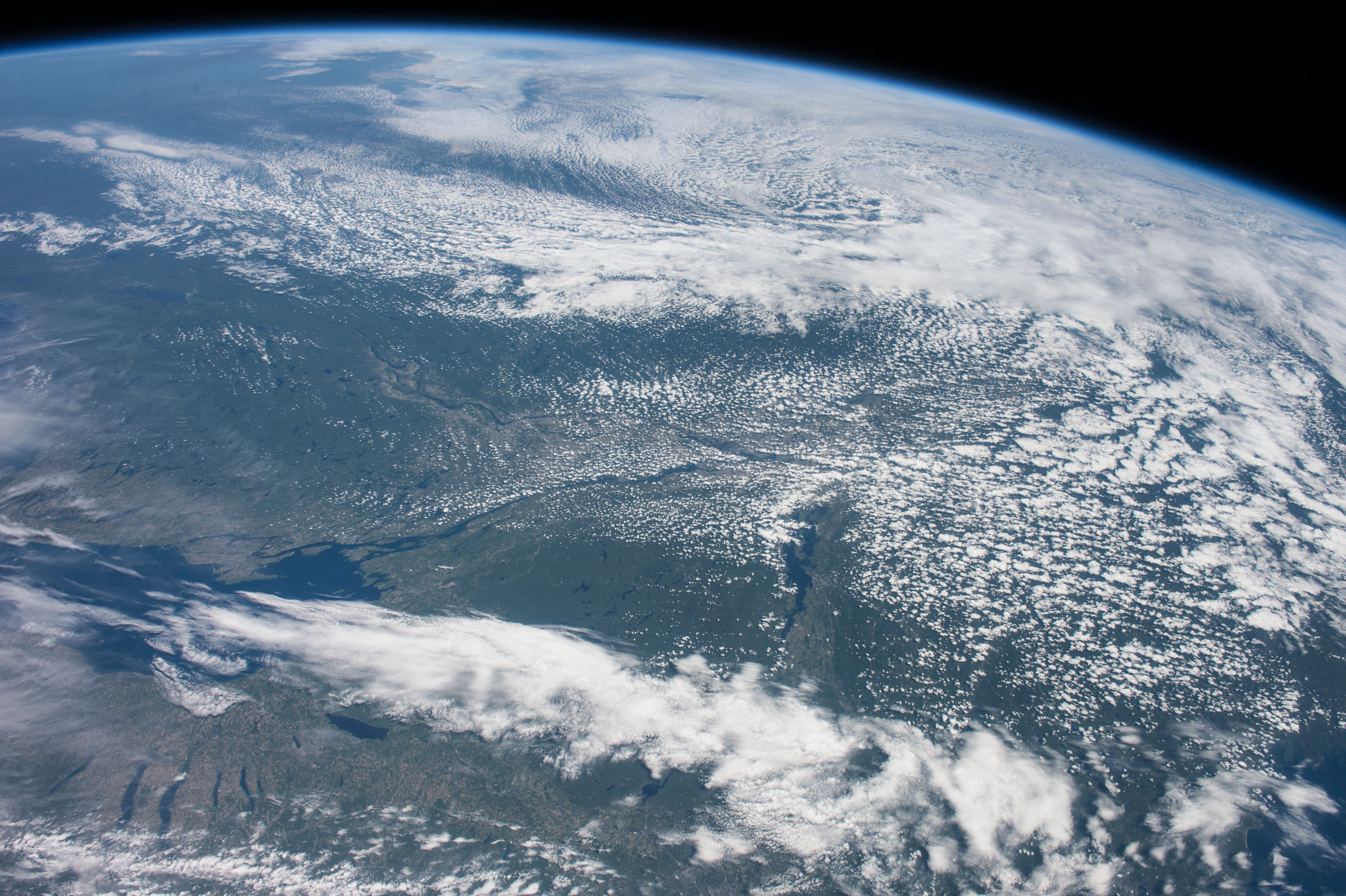 Image display