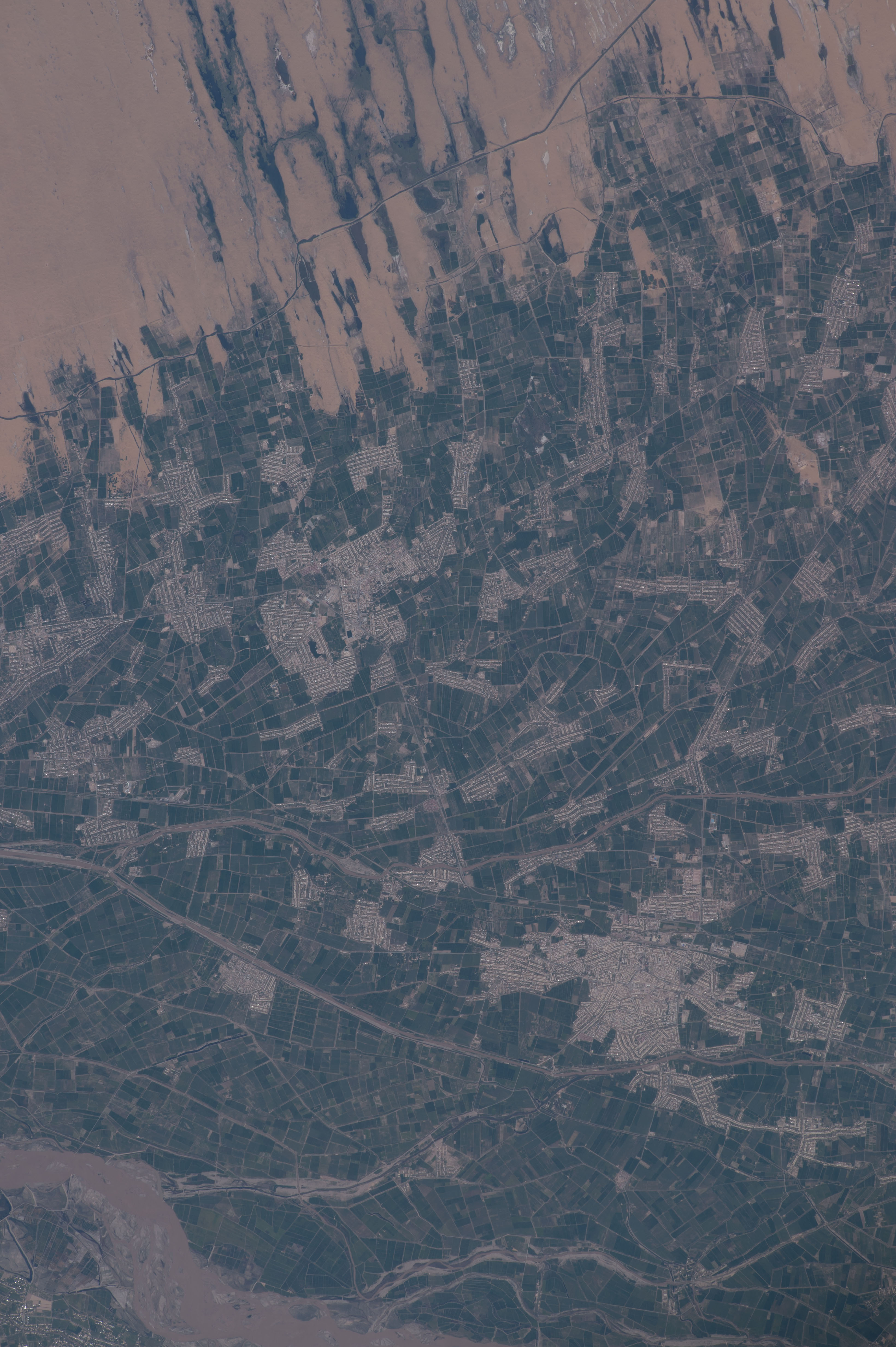 Image display