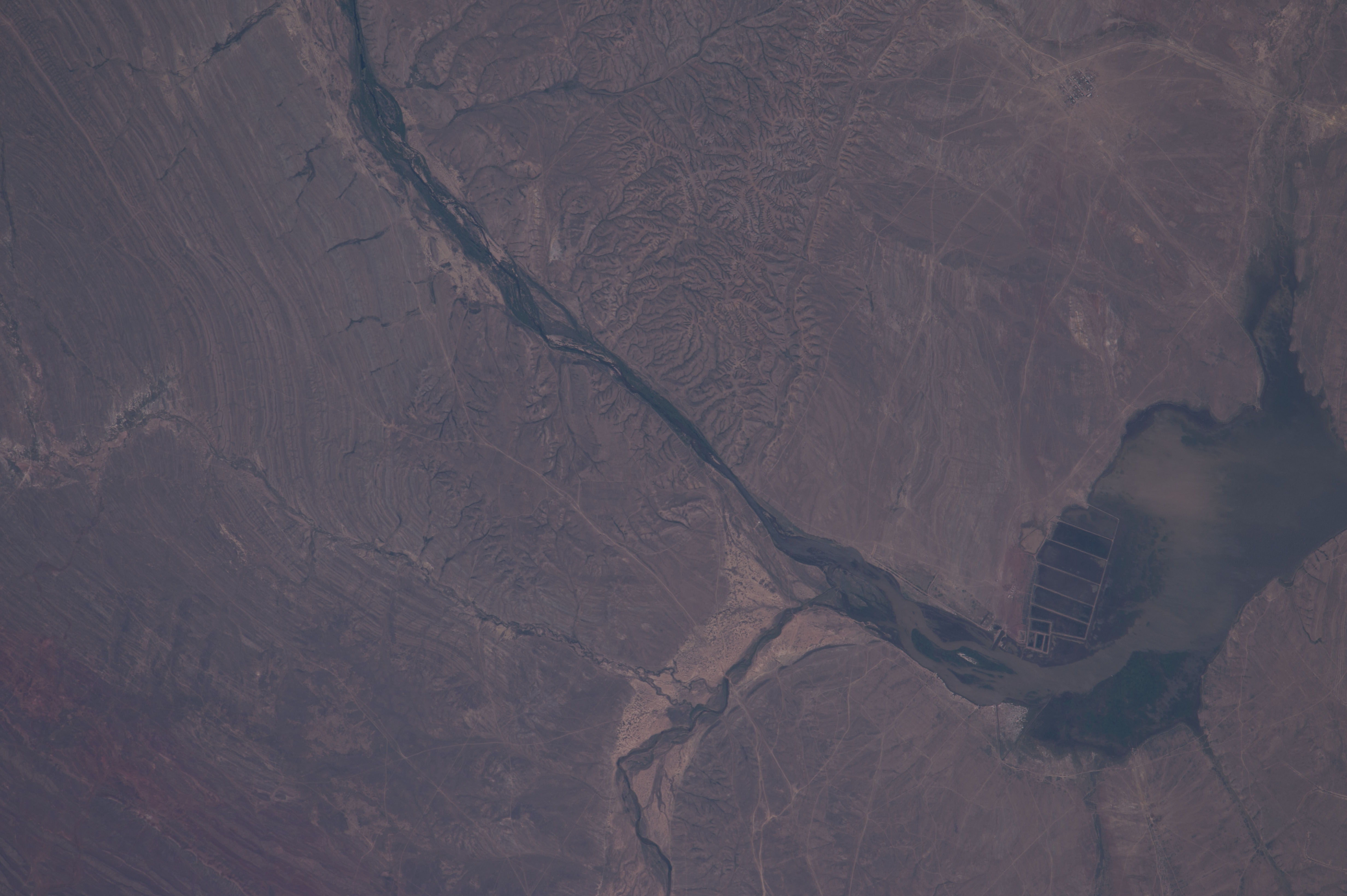 Image display