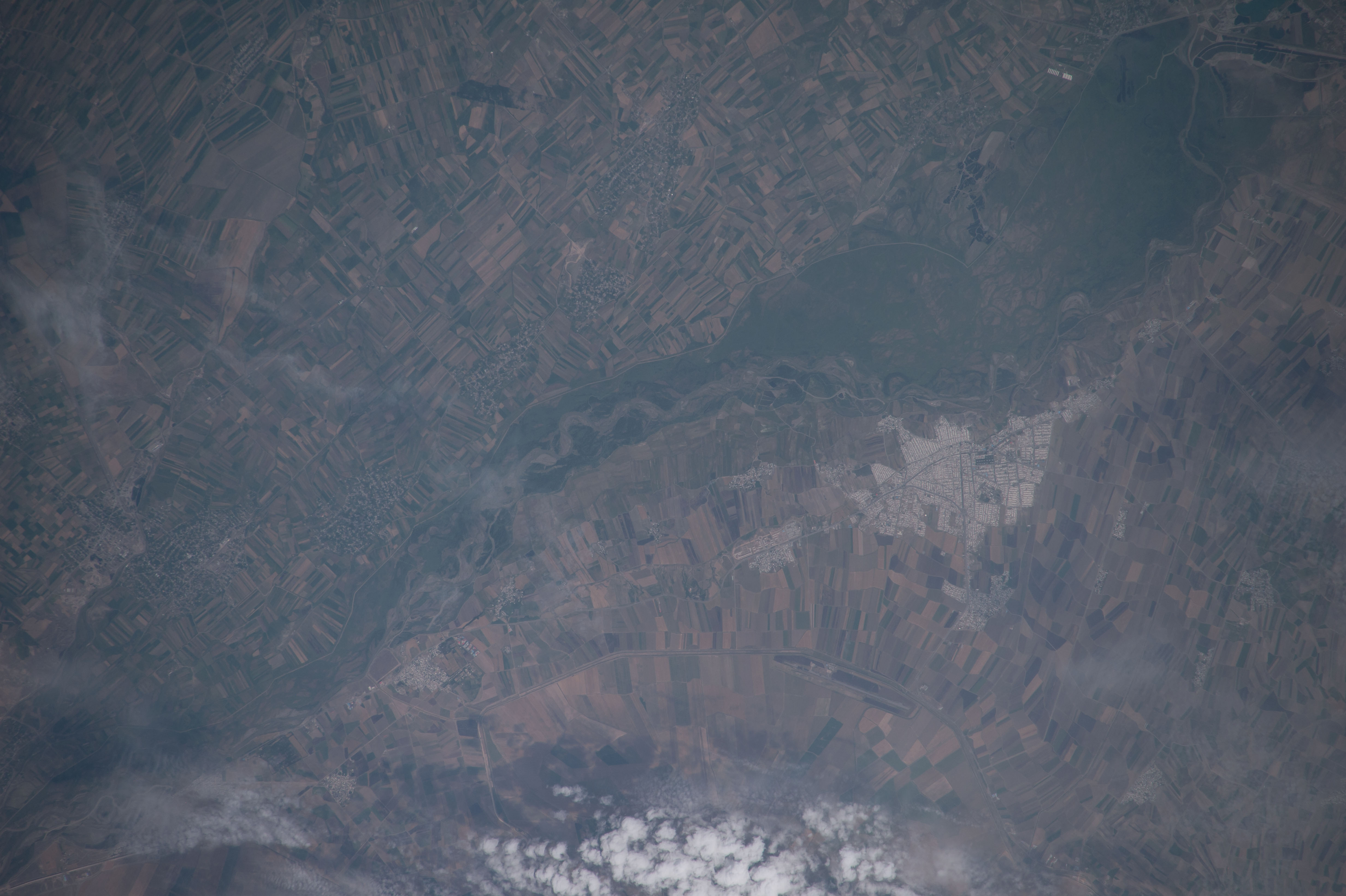 Image display