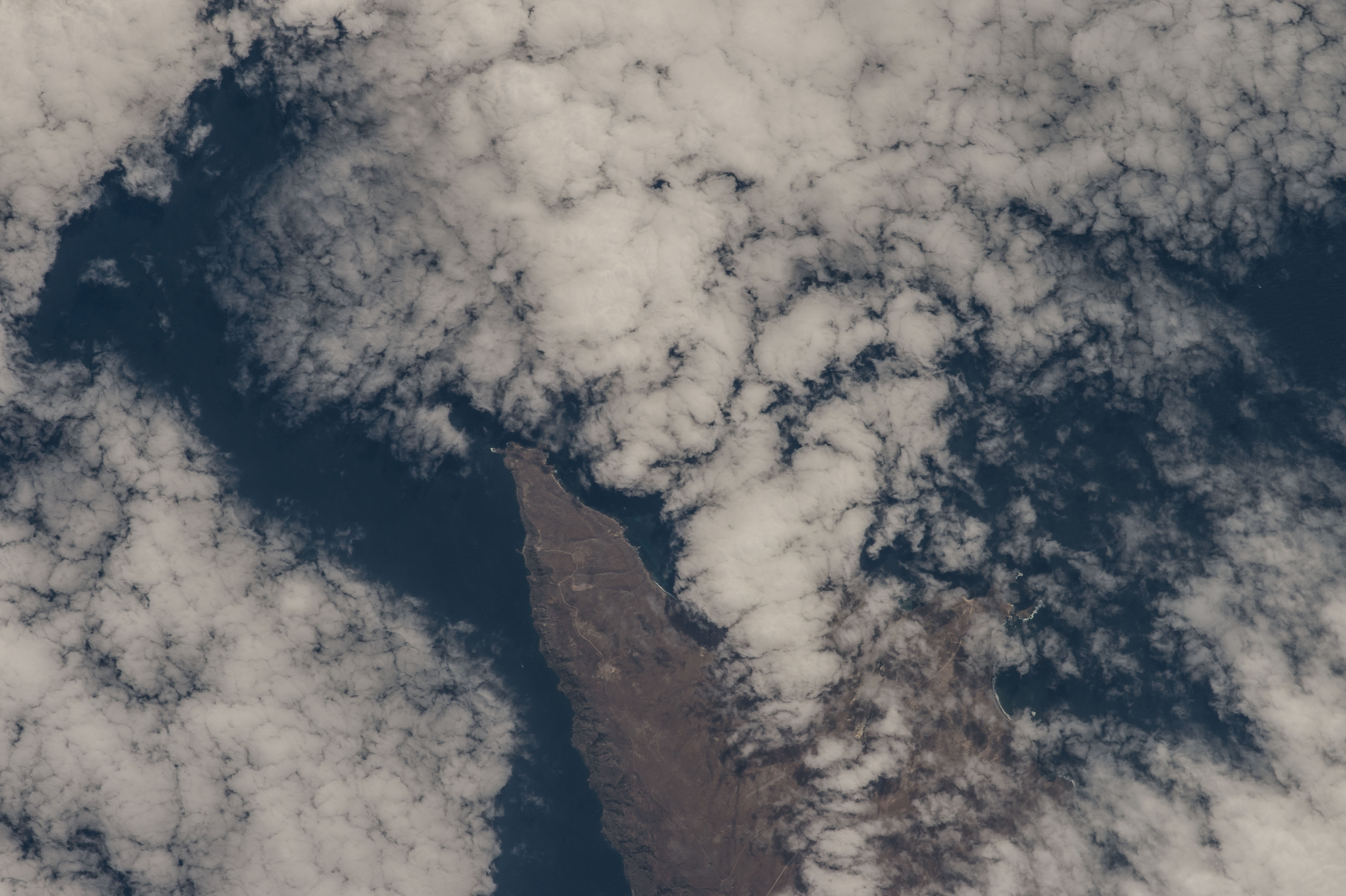 Image display