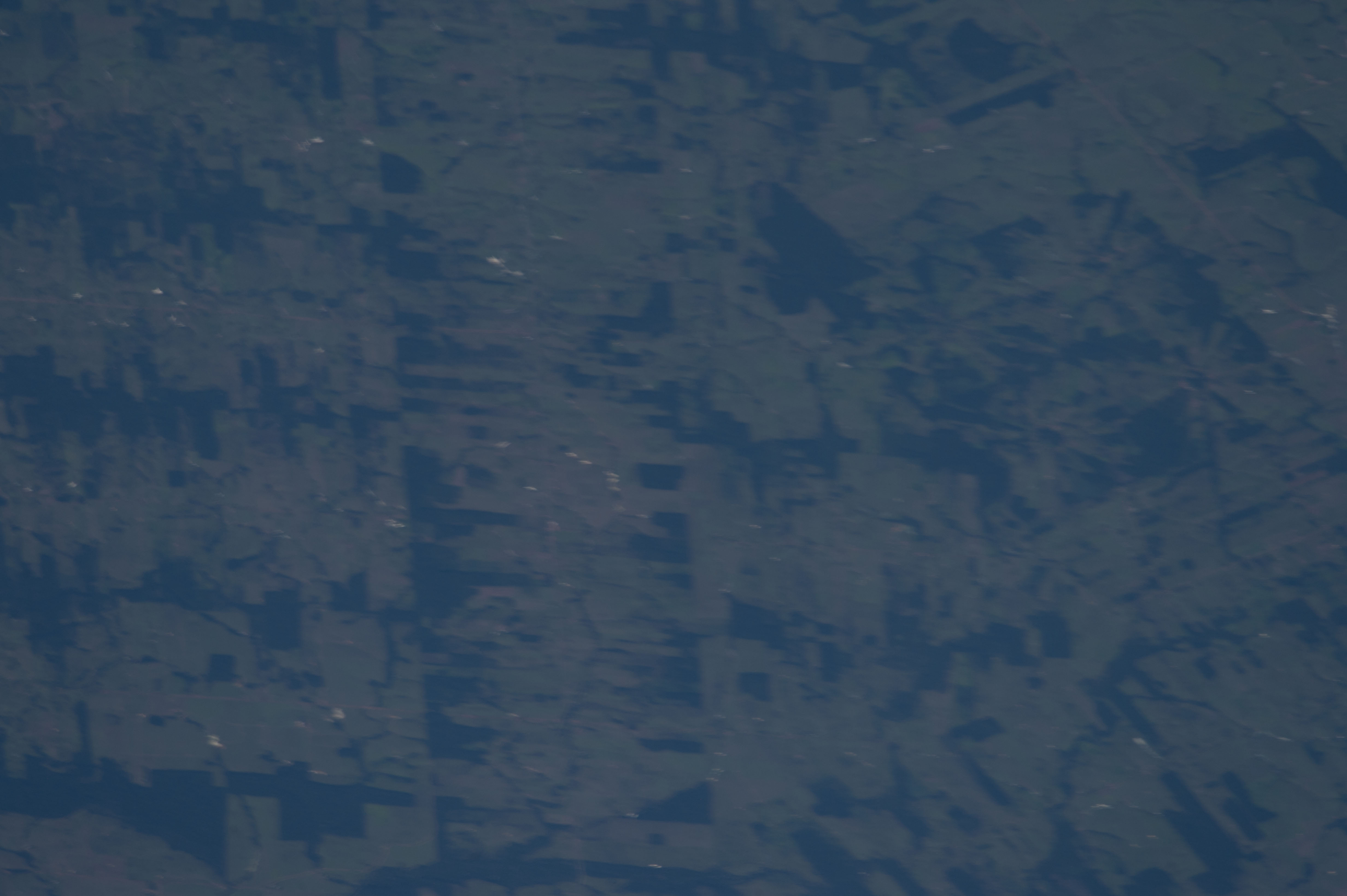 Image display