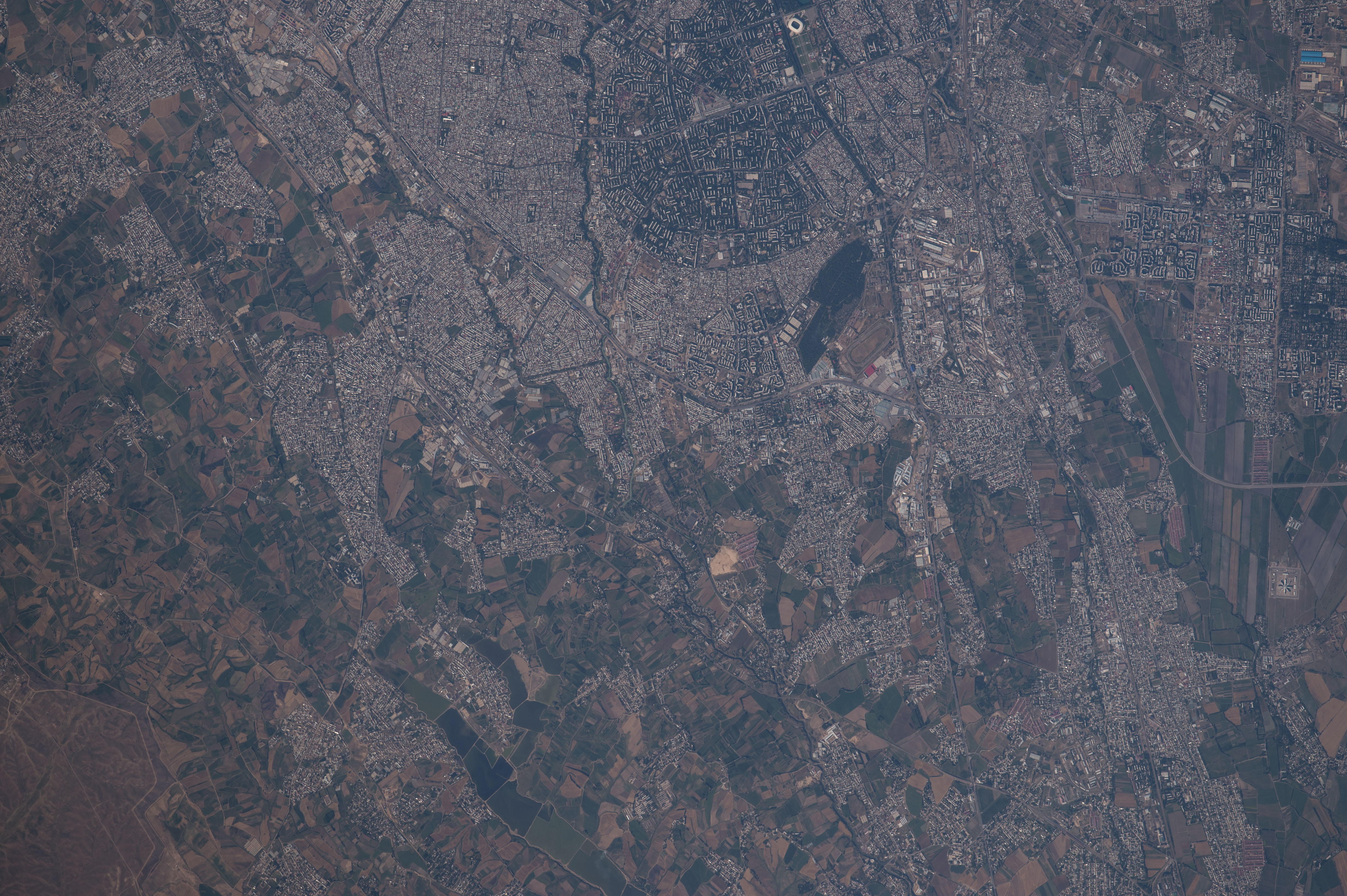 Image display