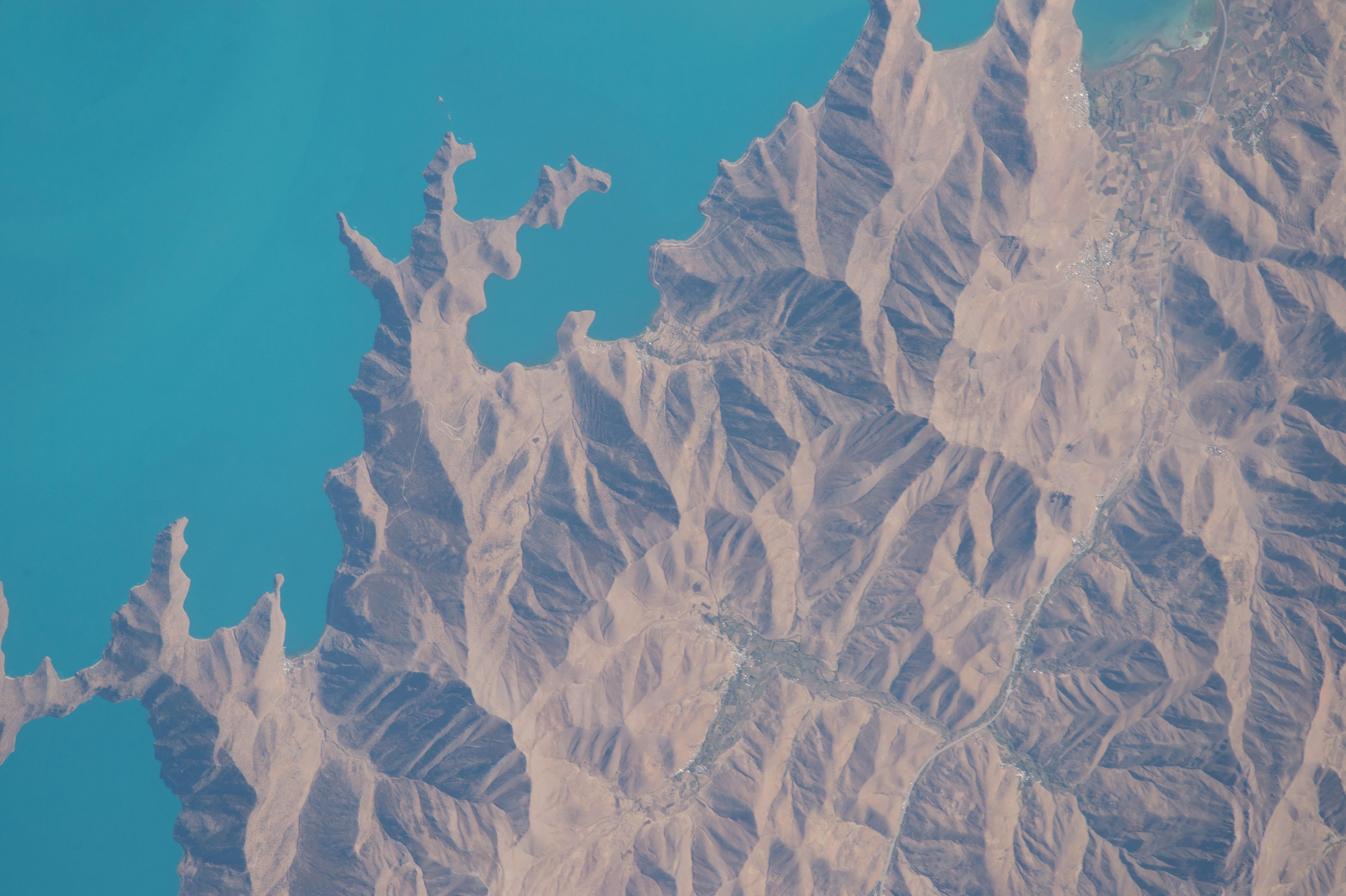 Image display
