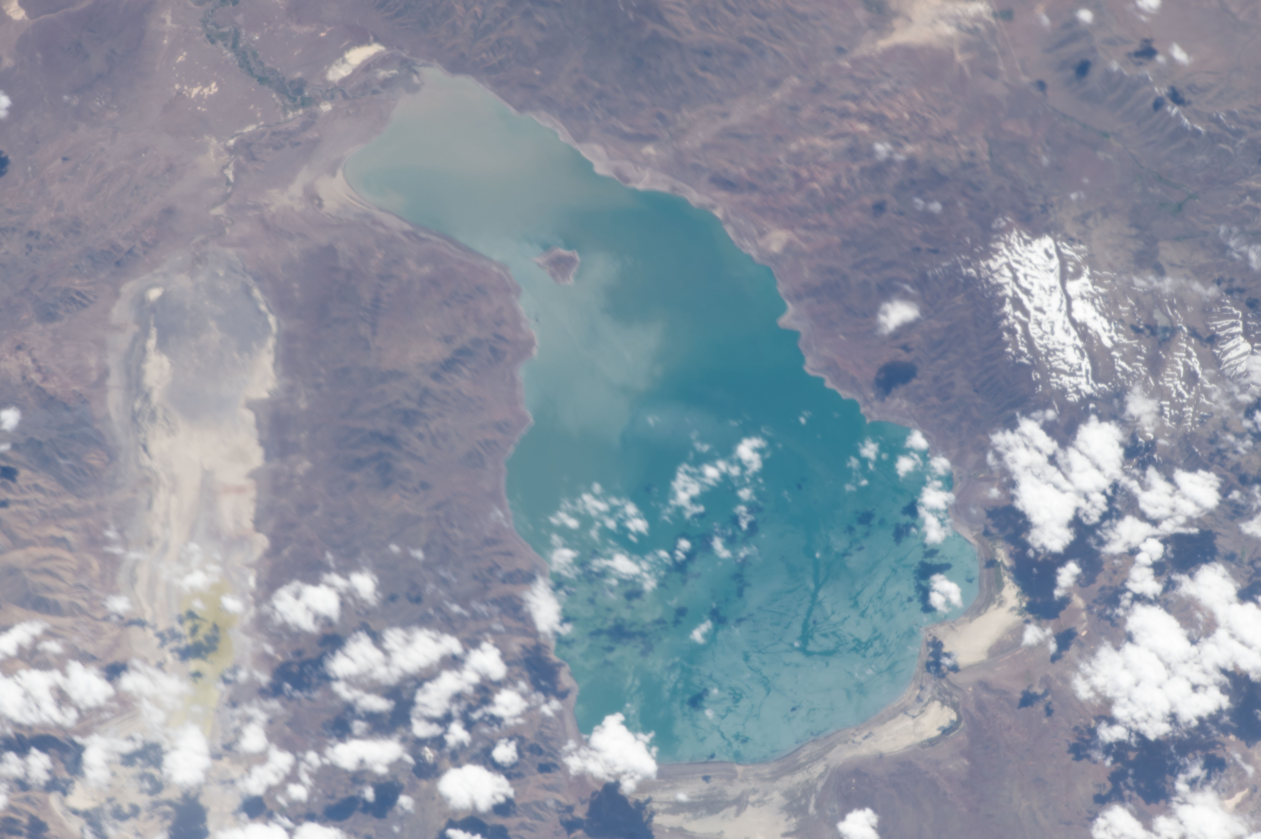Image display