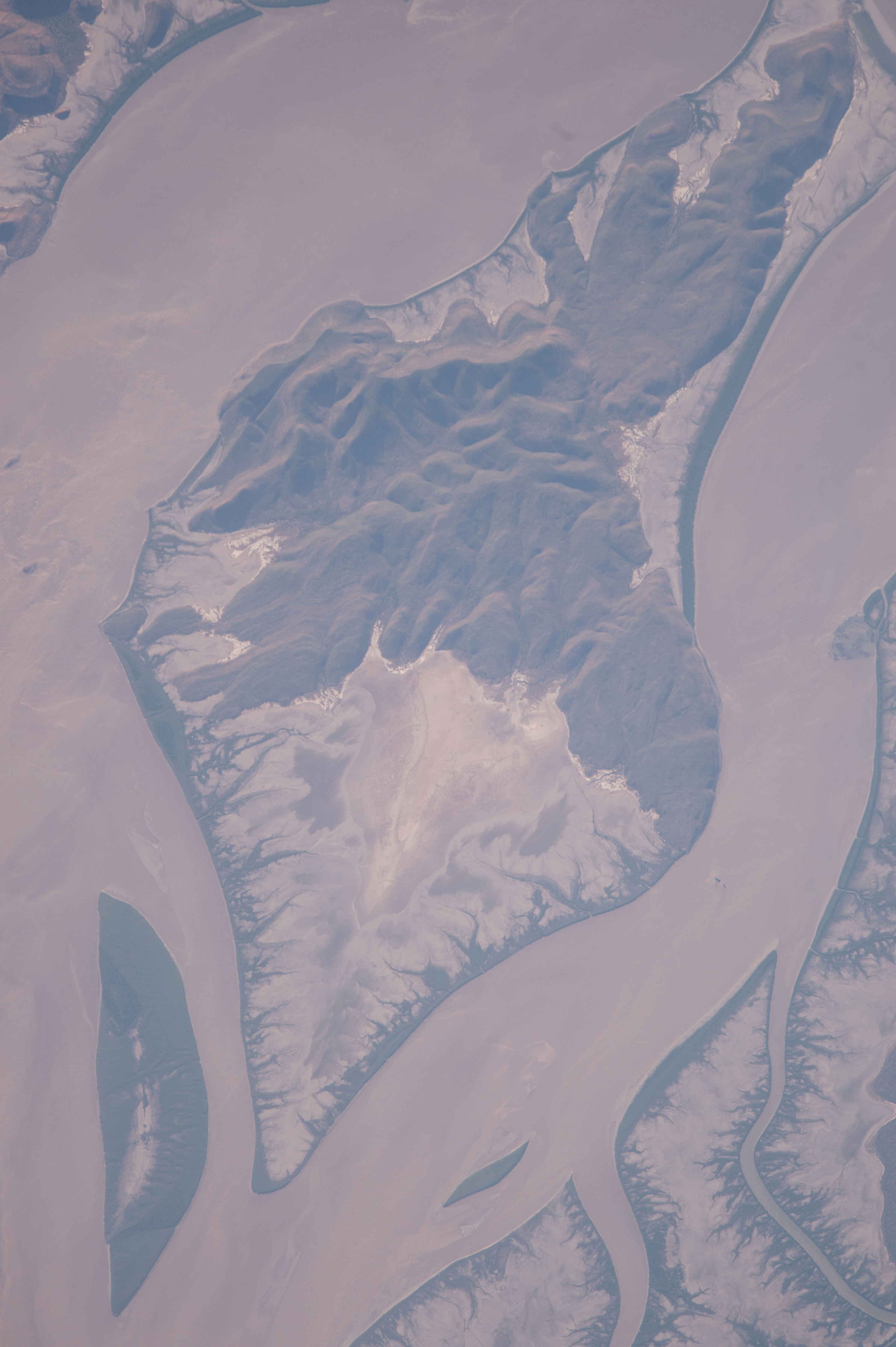 Image display
