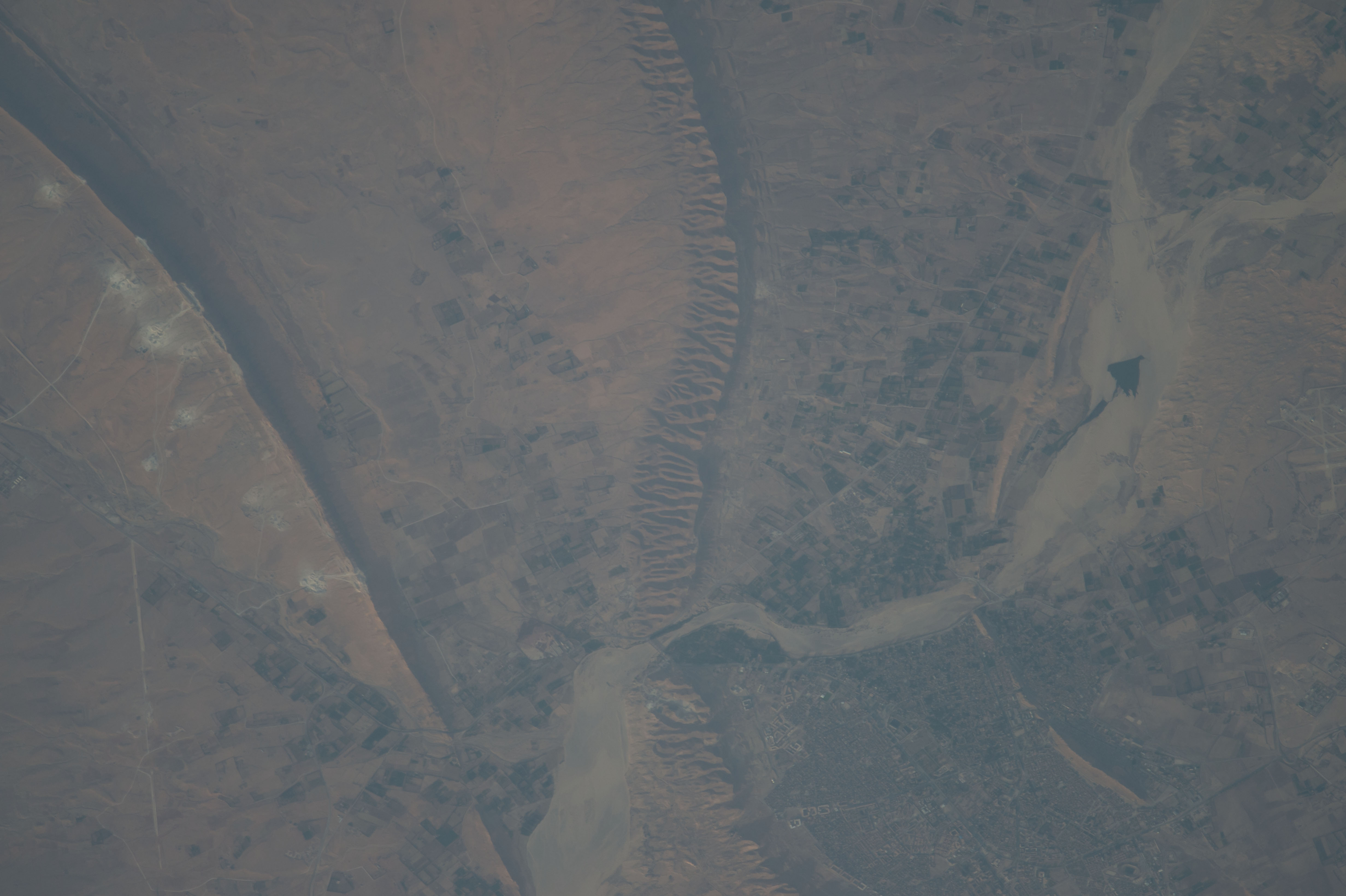Image display