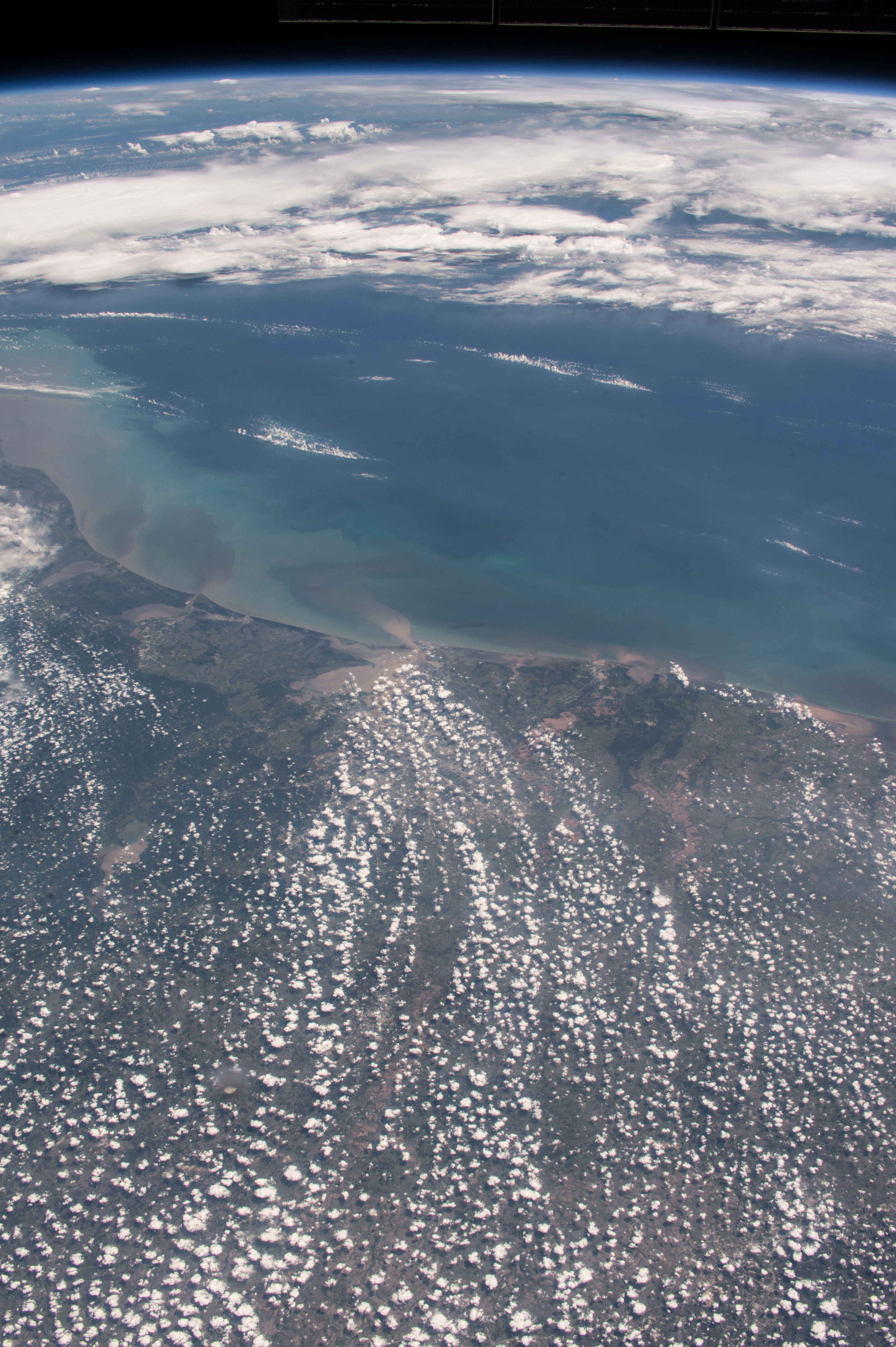 Image display