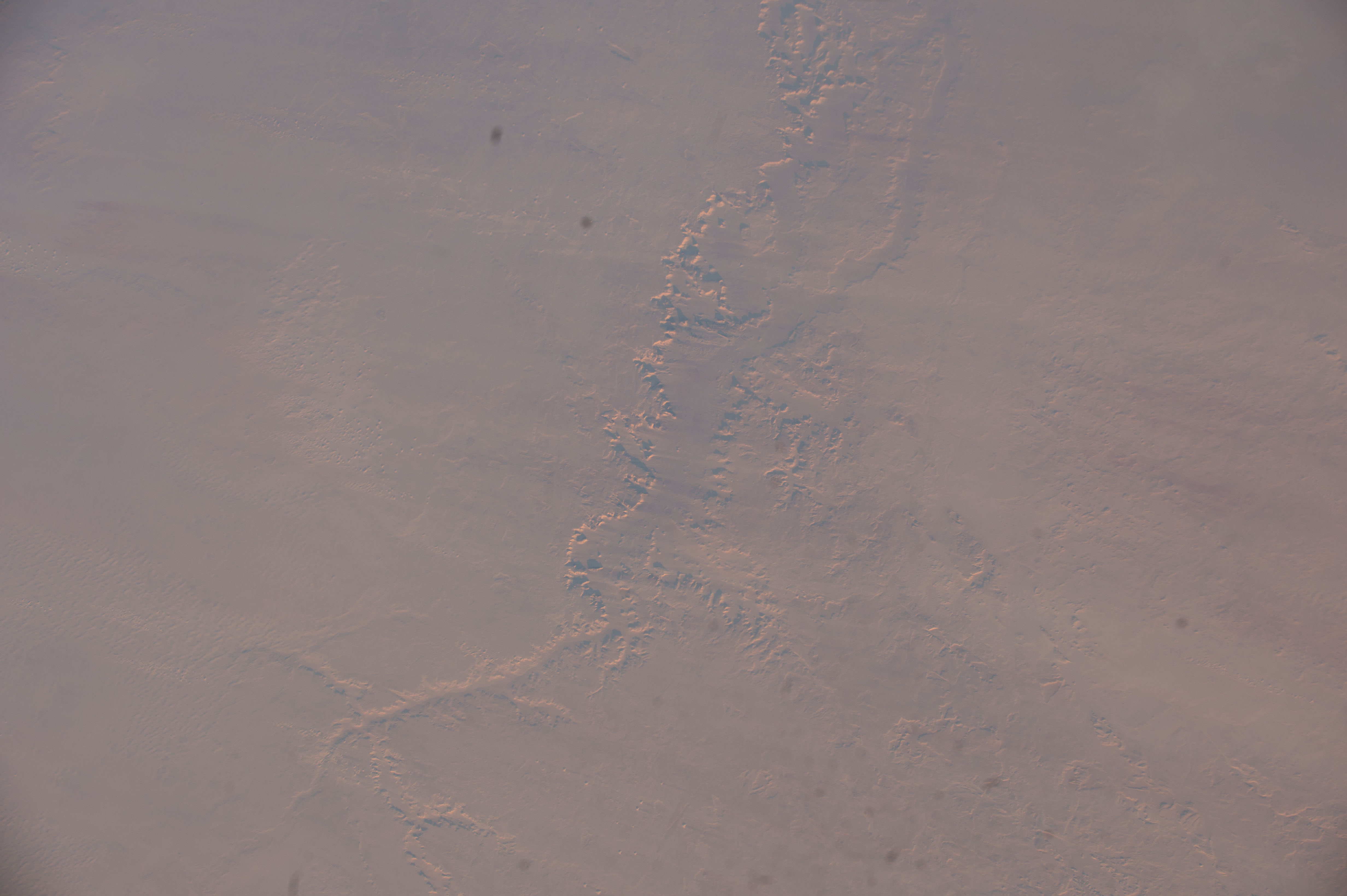 Image display