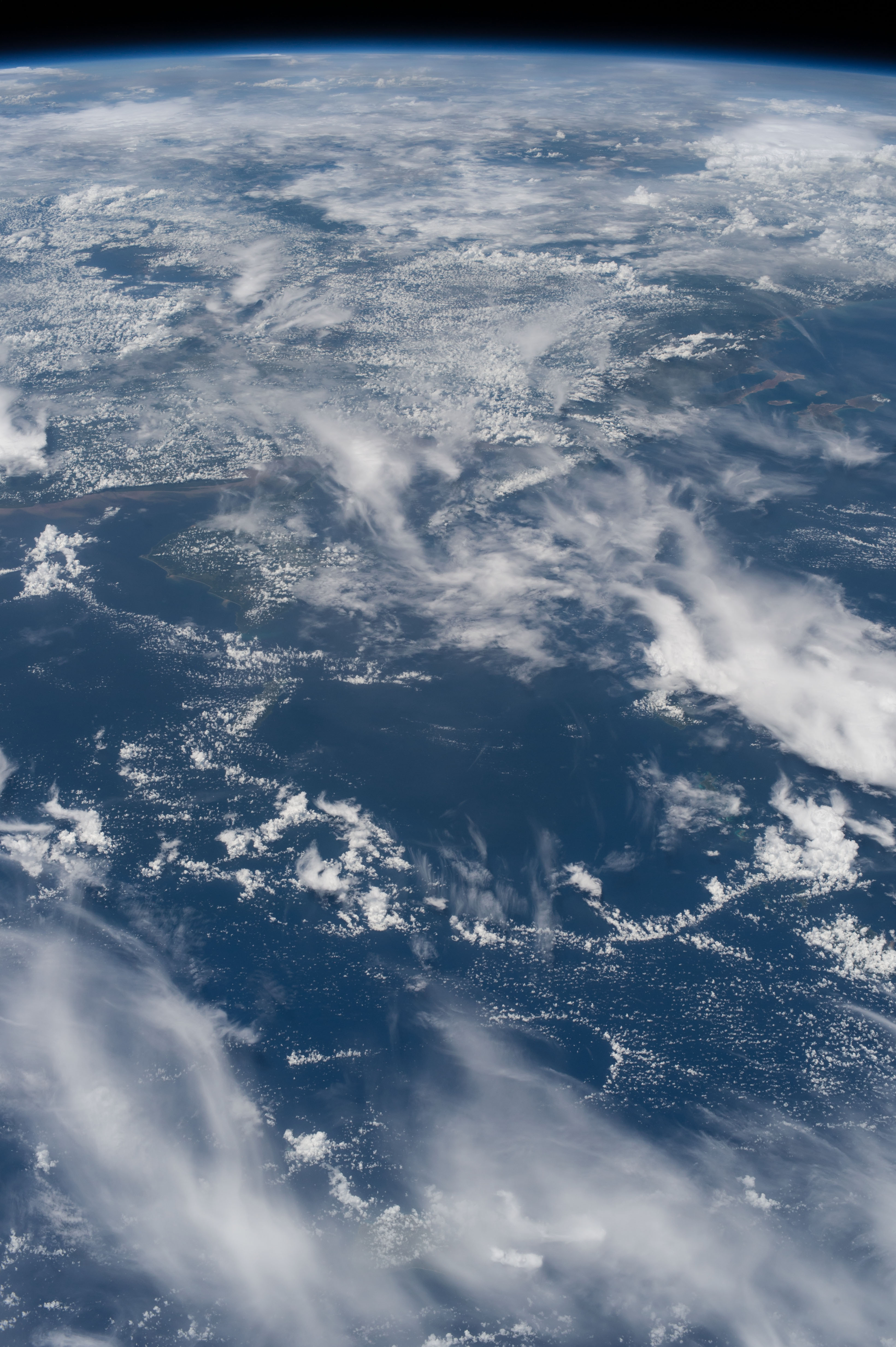 Image display