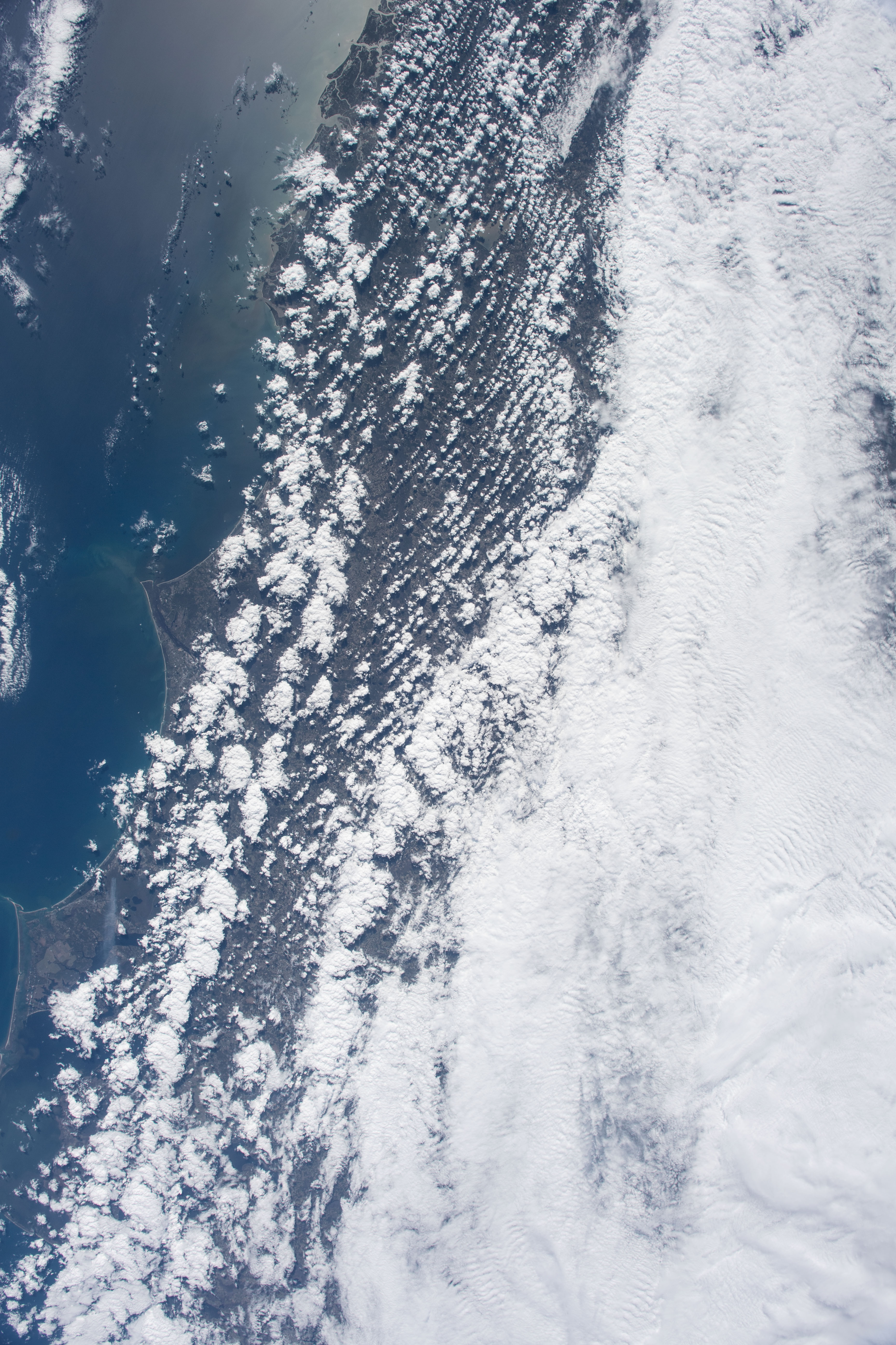 Image display