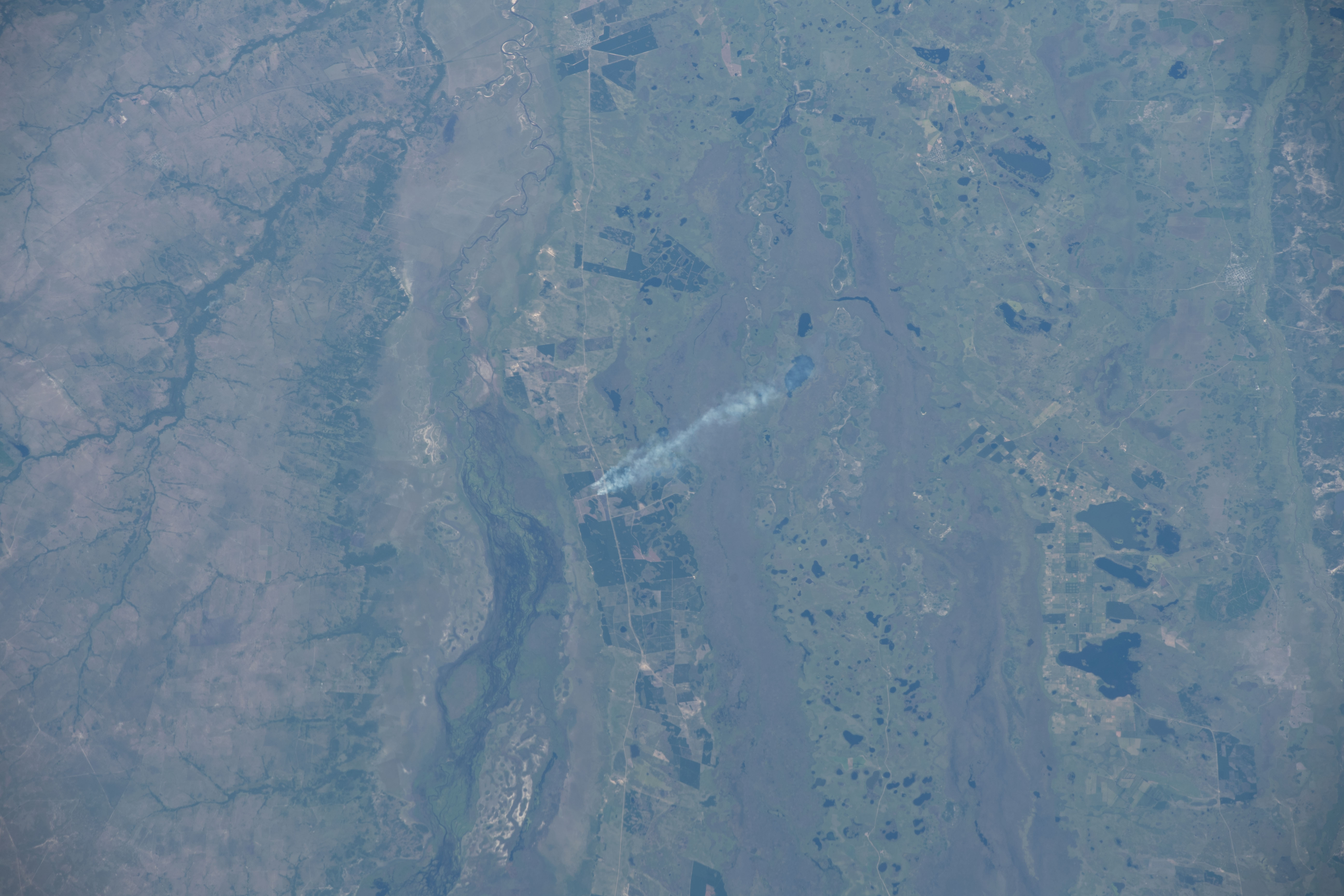 Image display
