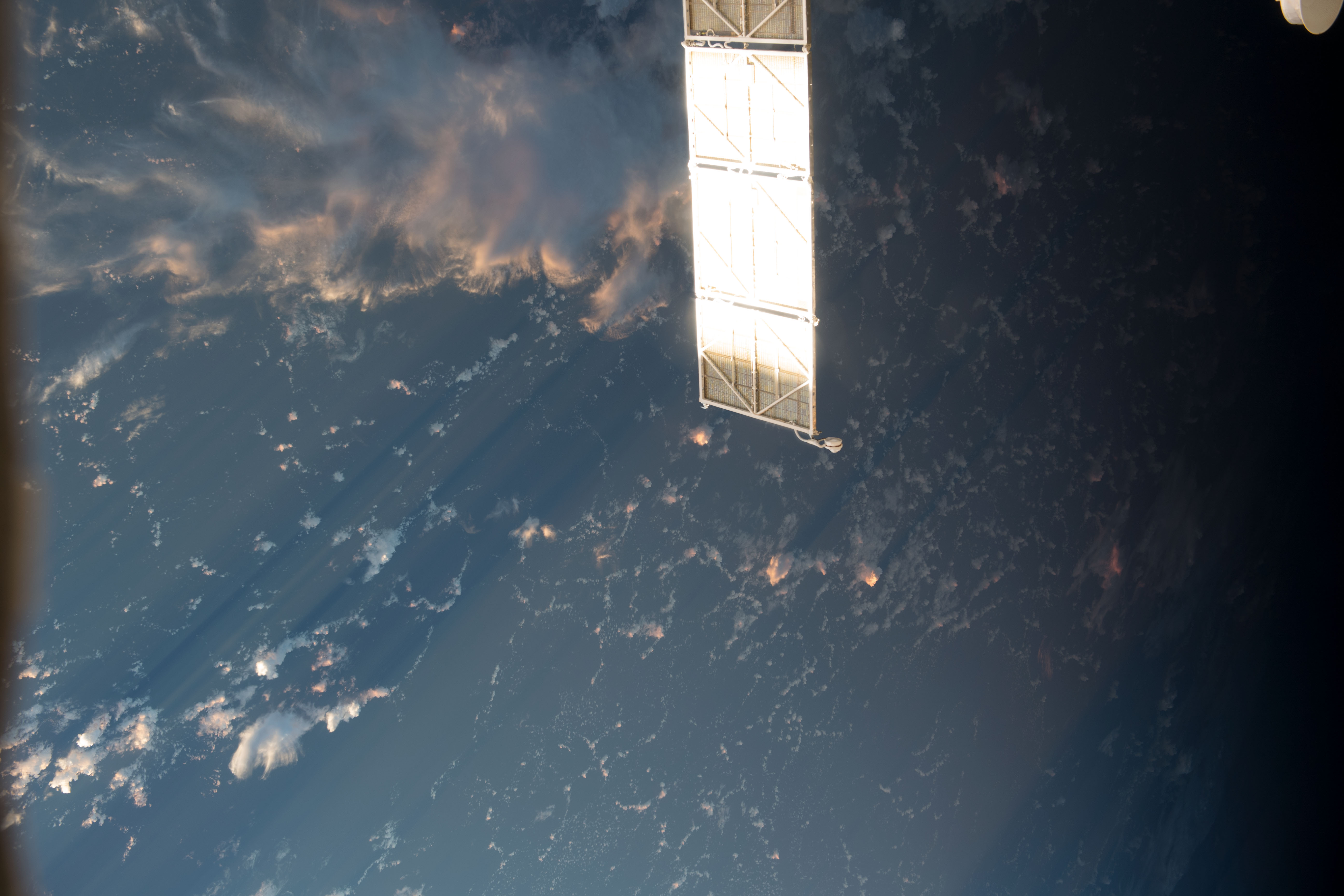 Image display
