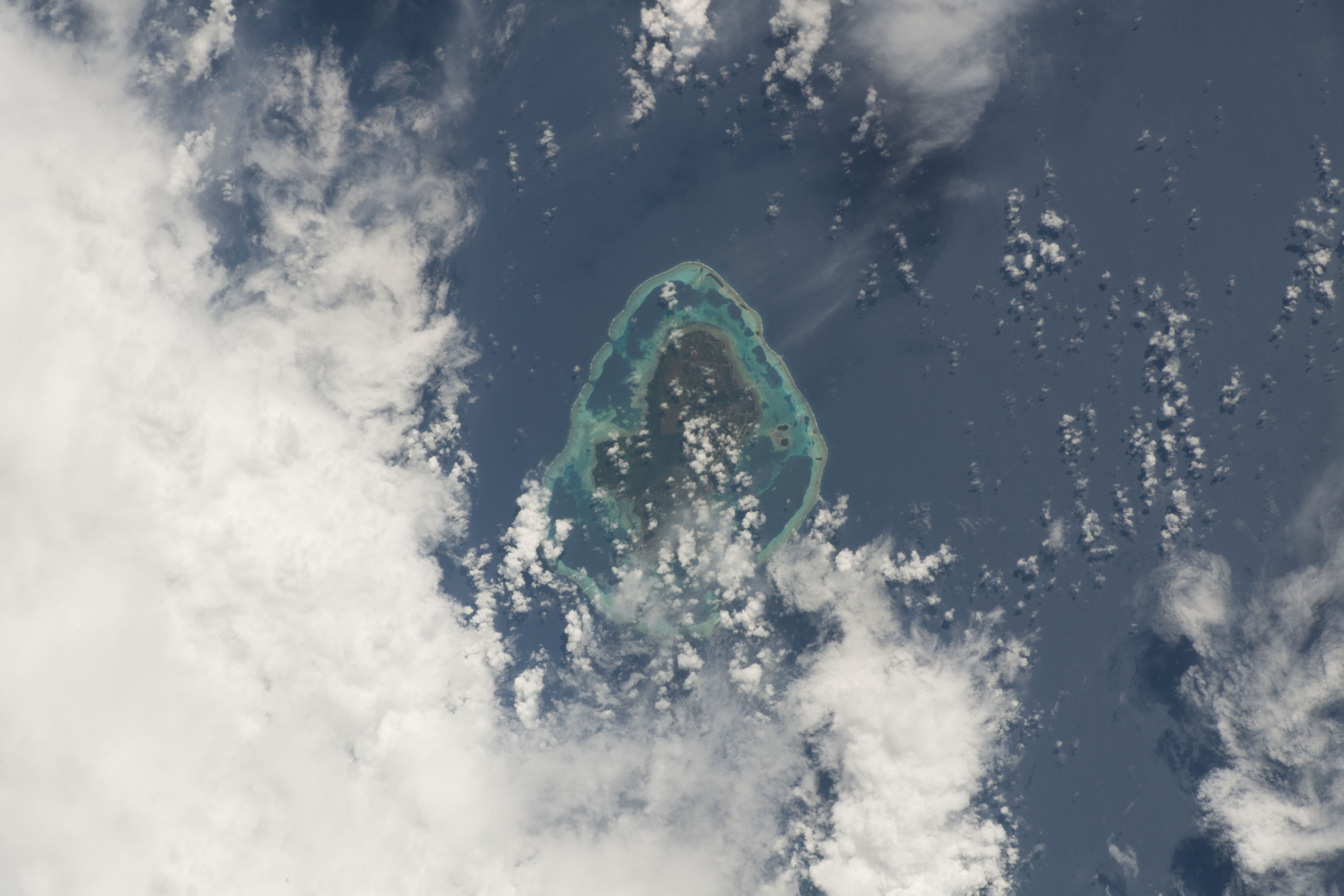 Astronaut Photo ISS055-E-11120