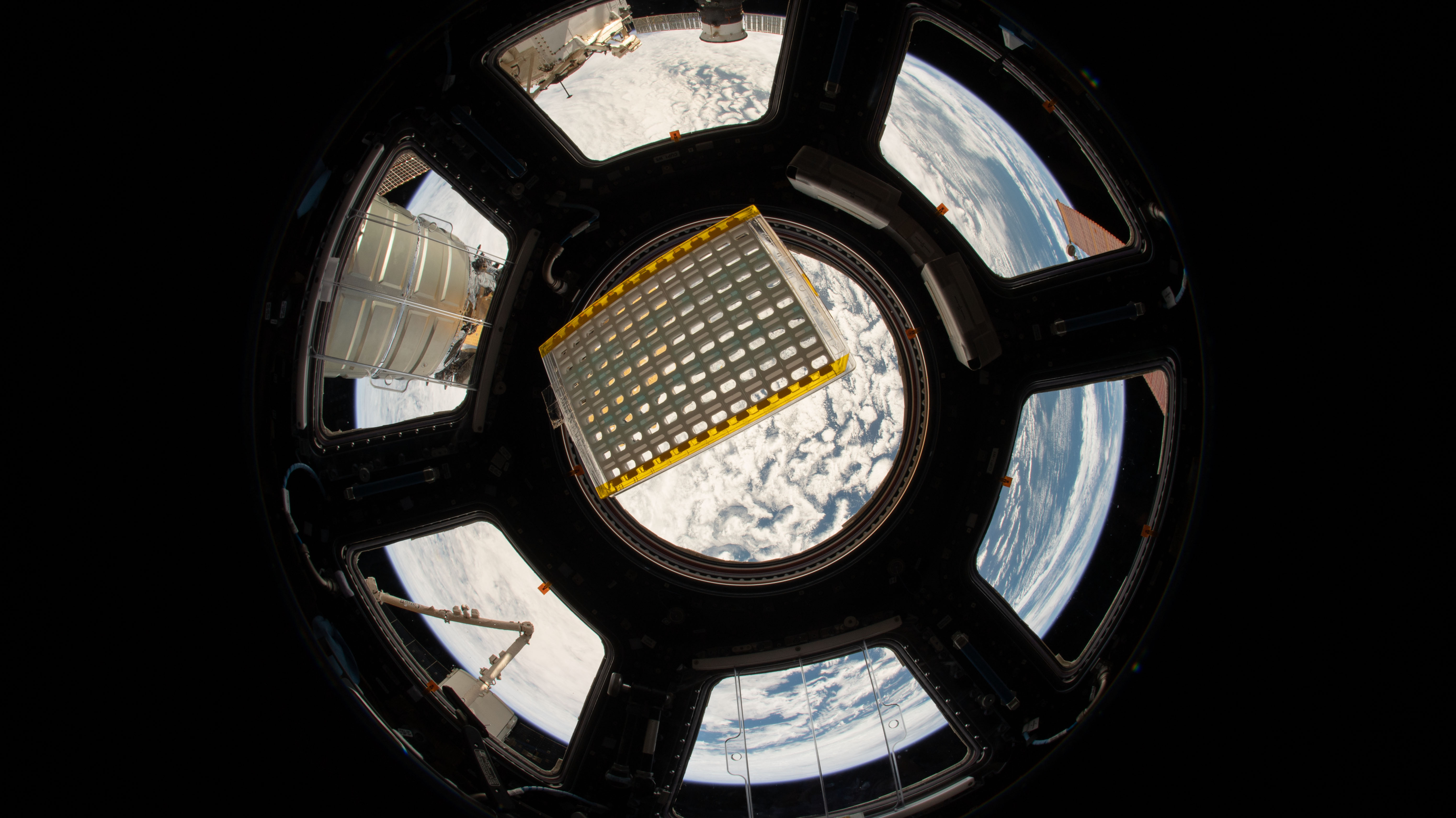 Image display