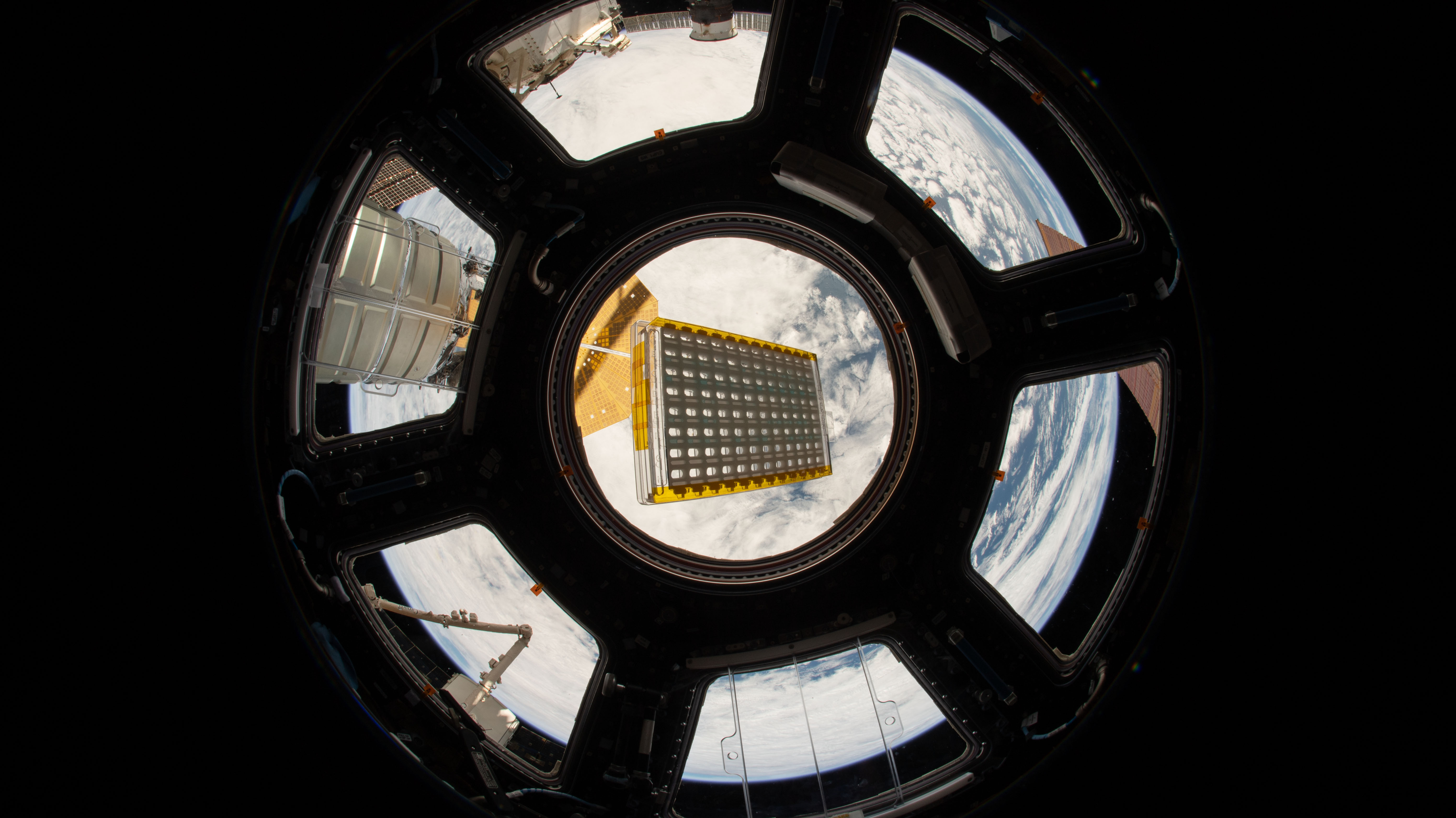 Image display