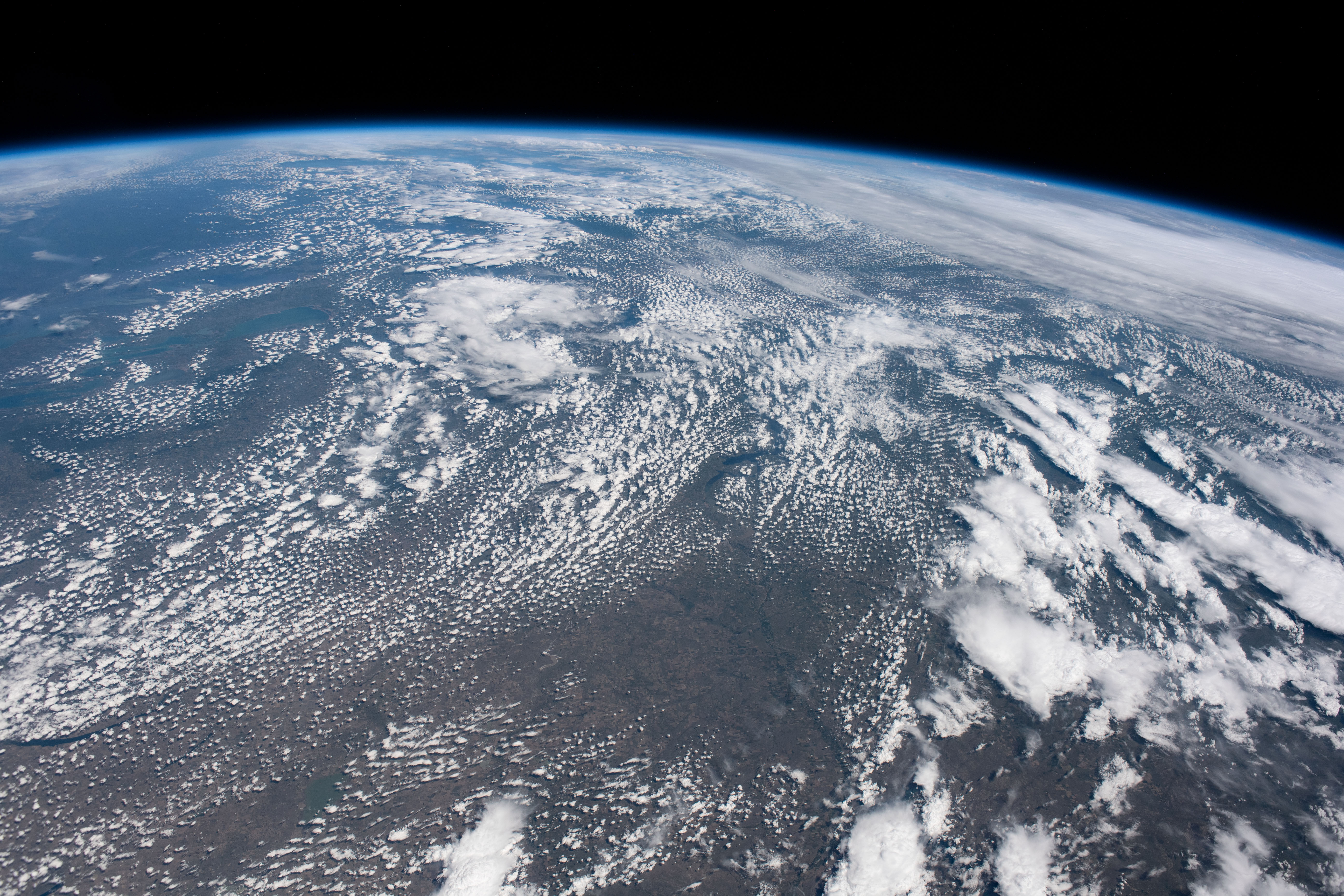 Image display