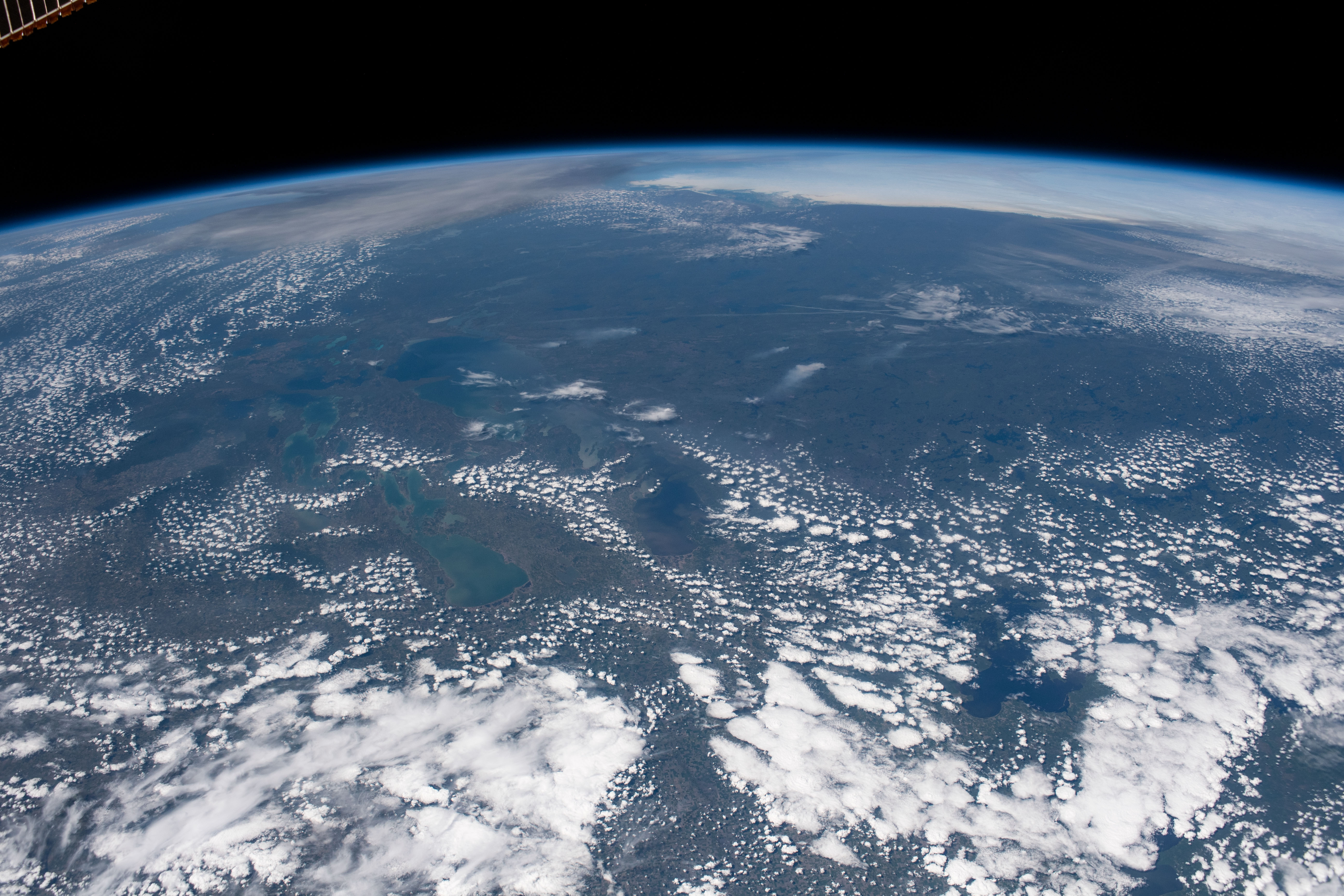 Image display