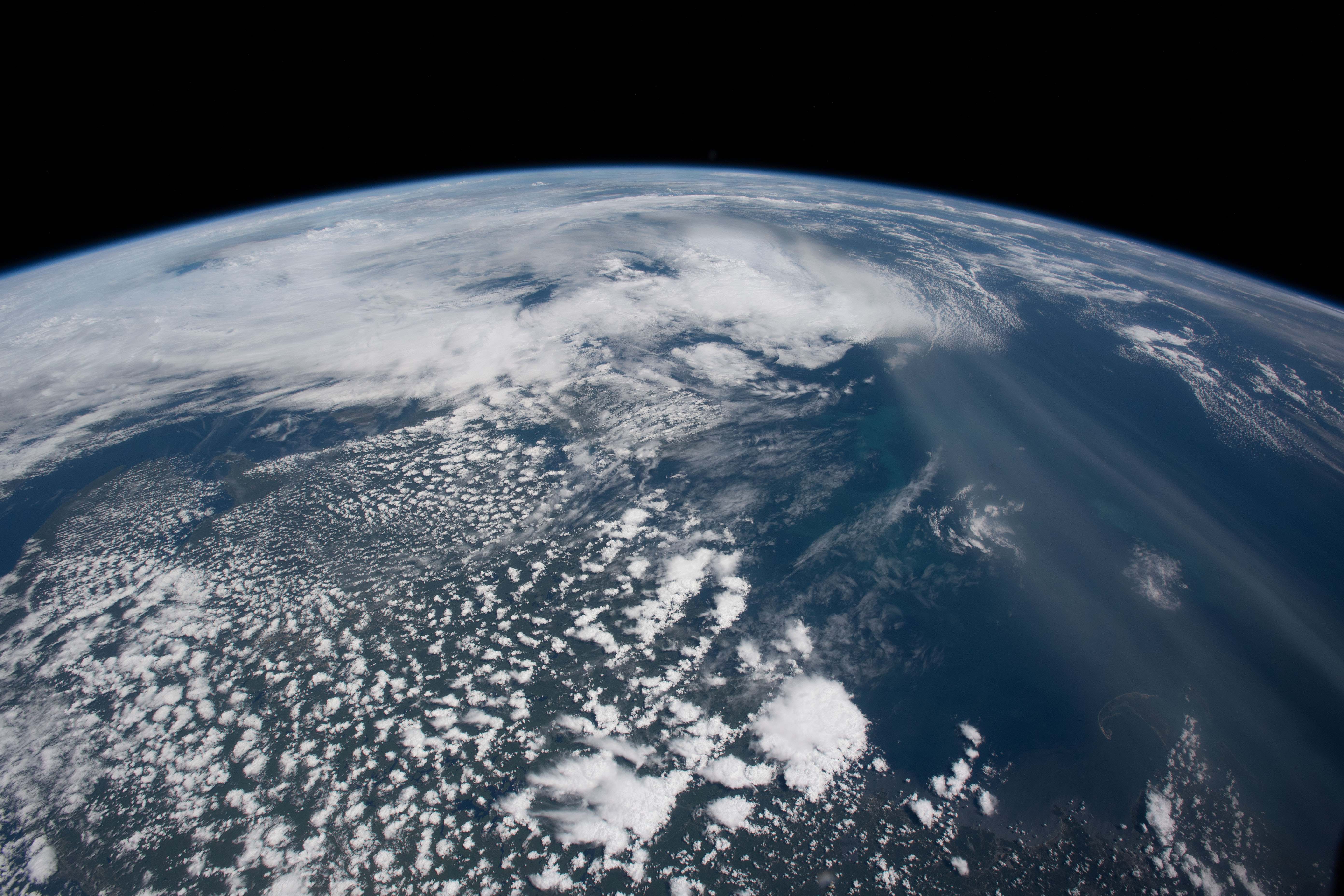 Image display