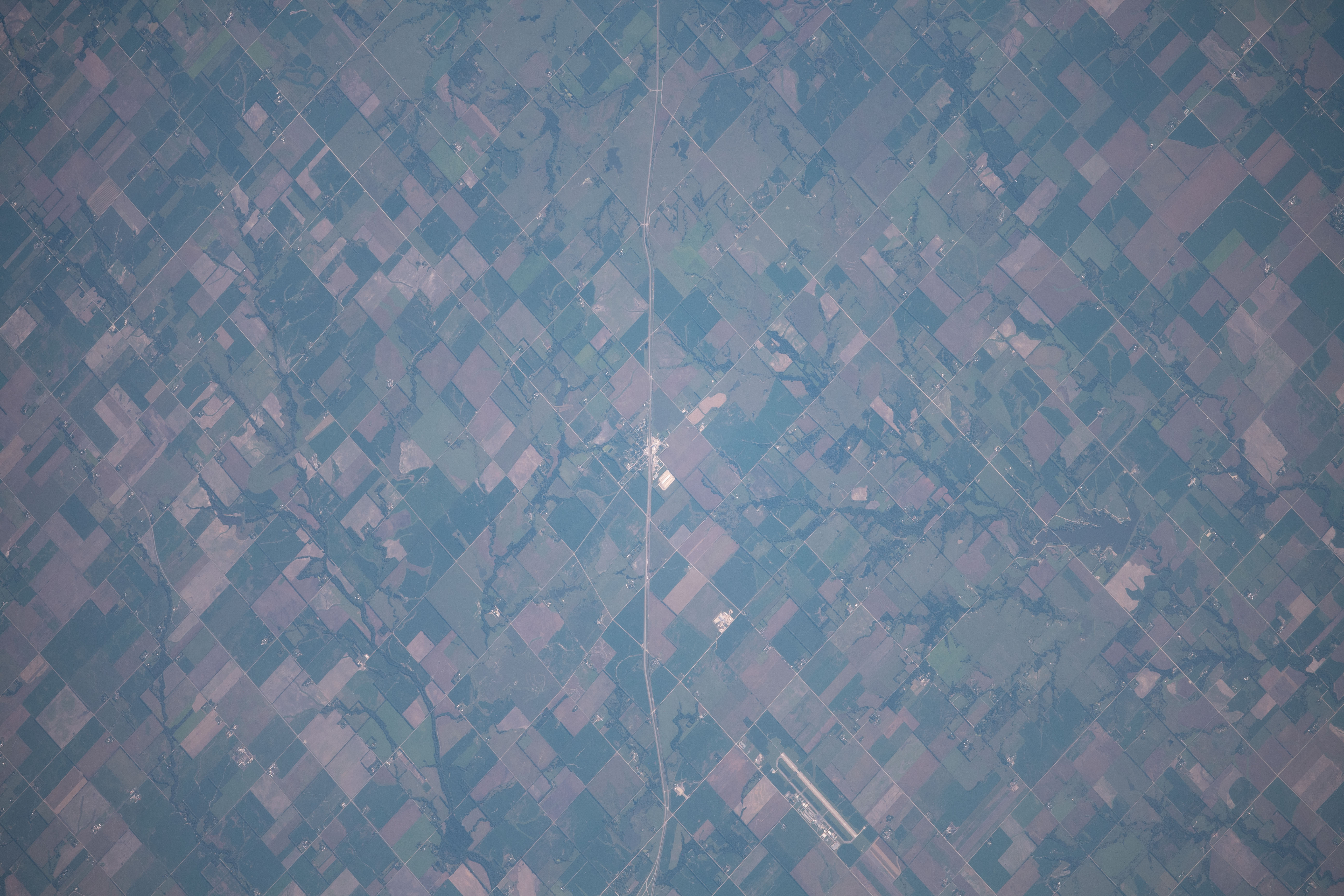 Image display