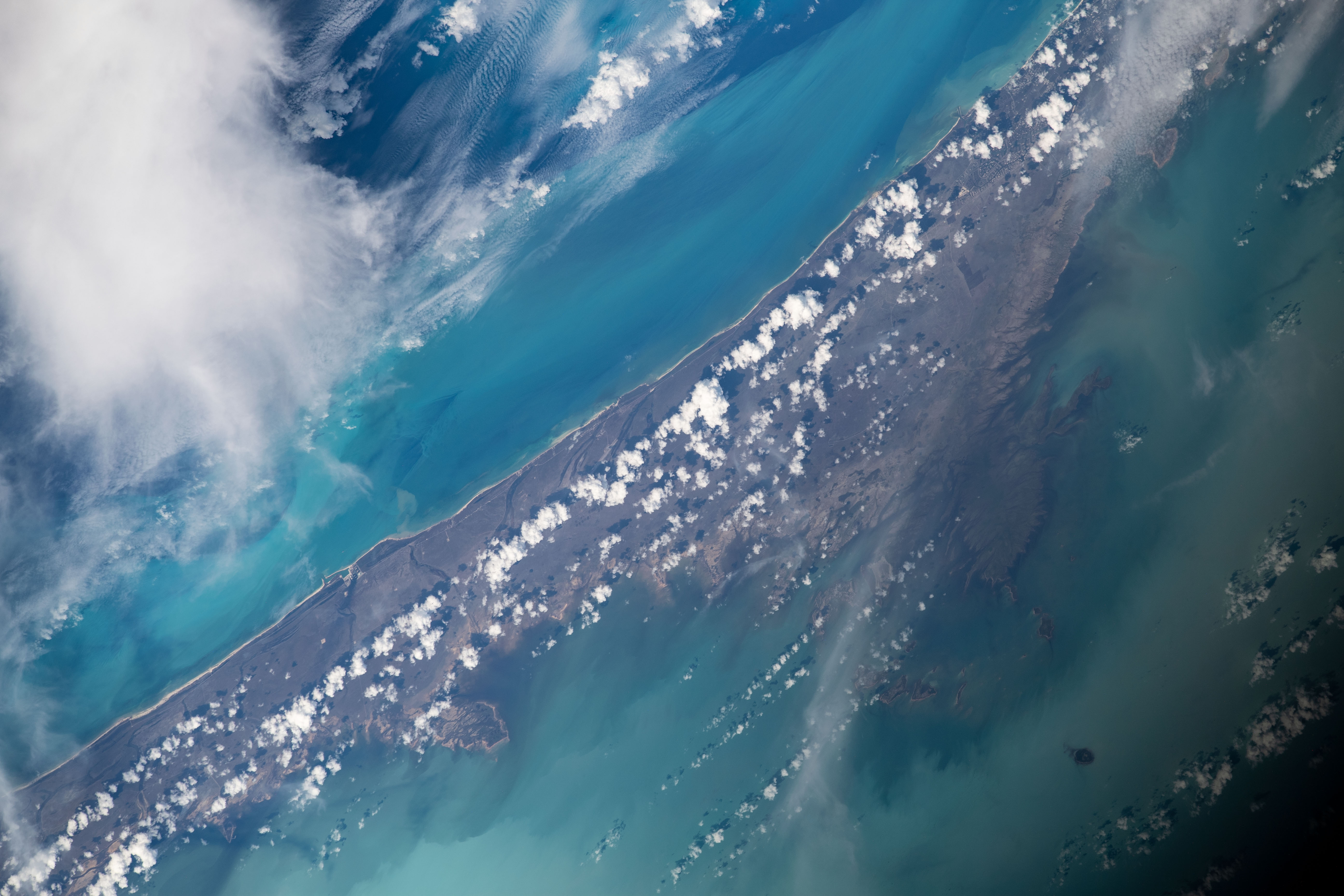 Image display