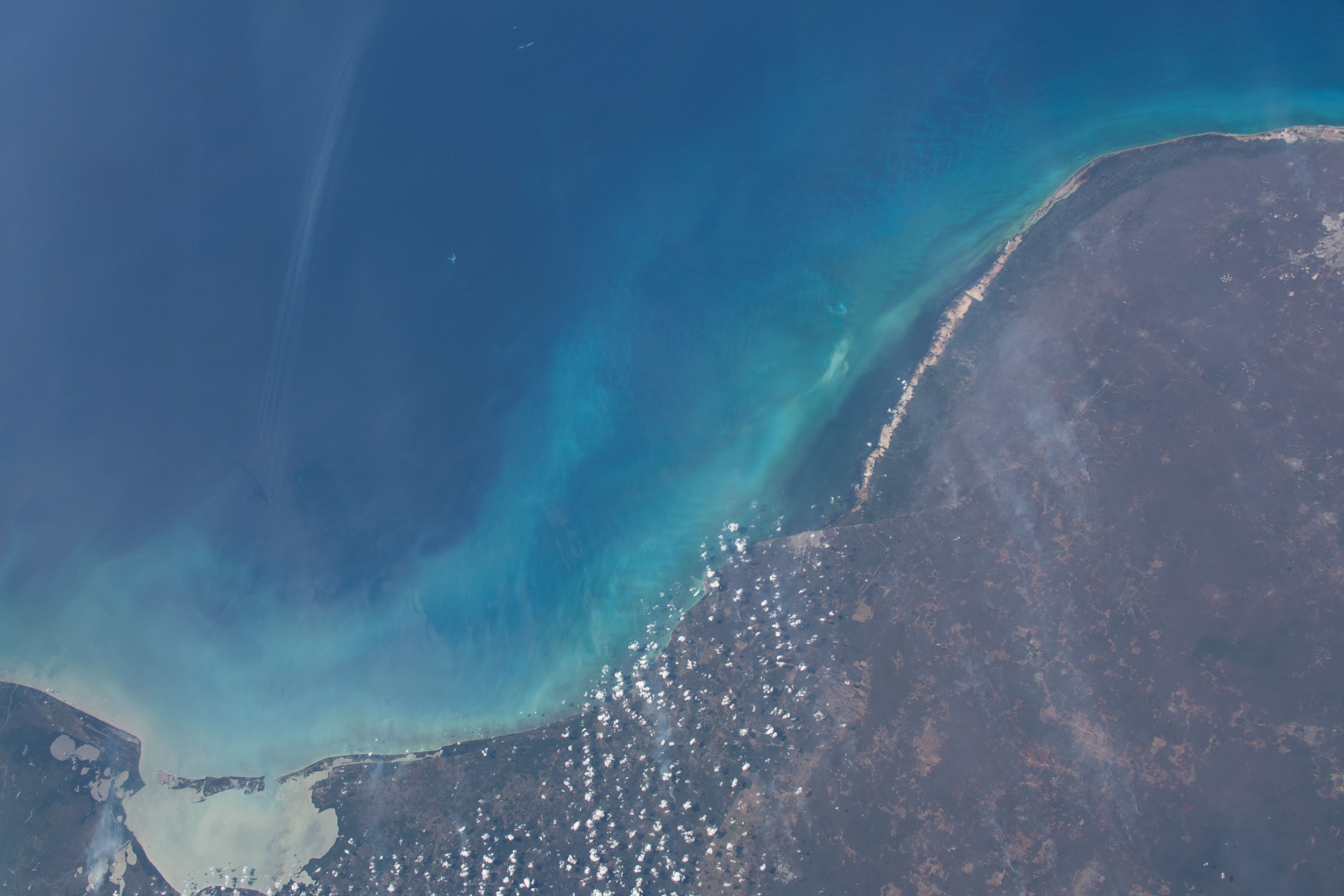 Image display