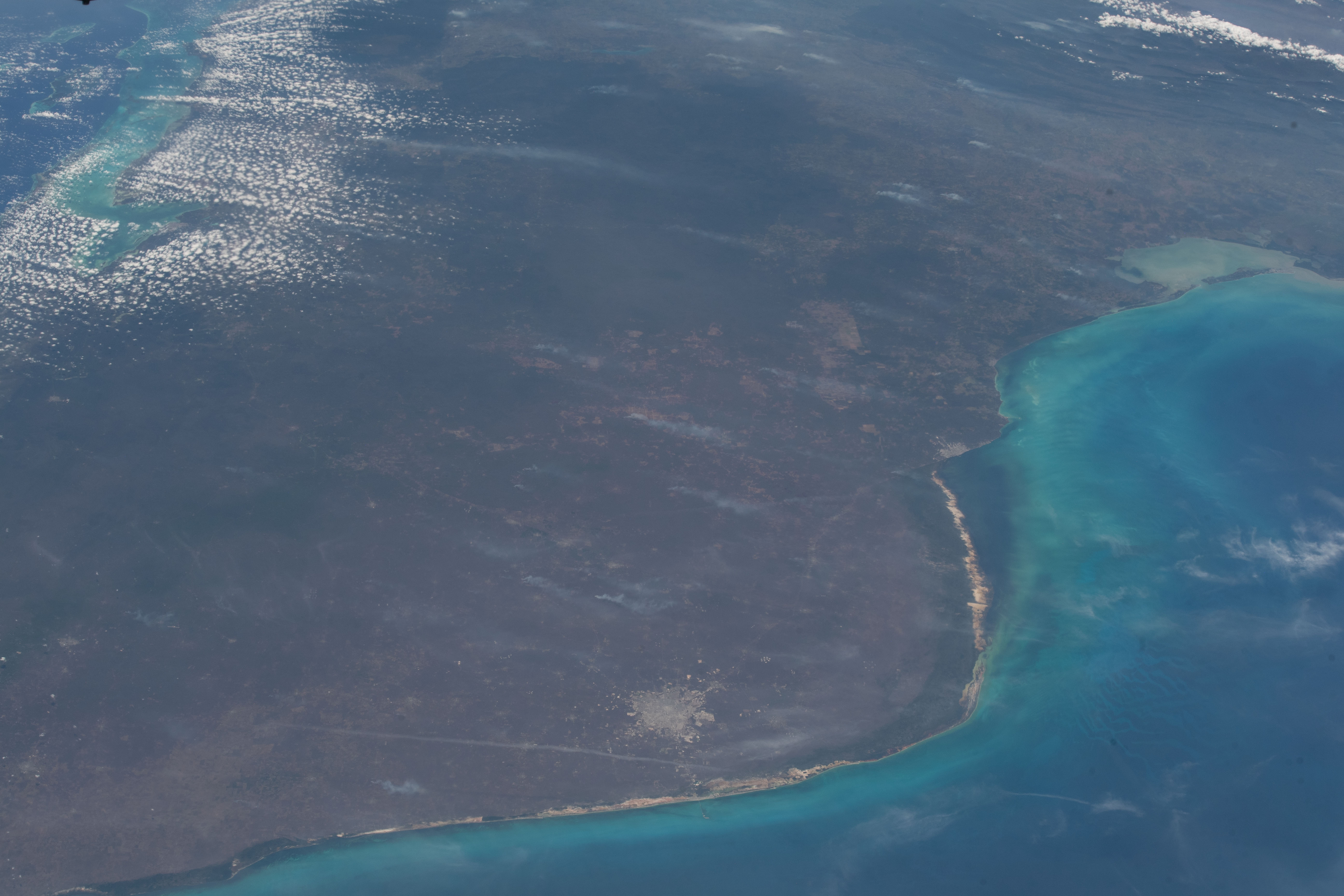 Image display