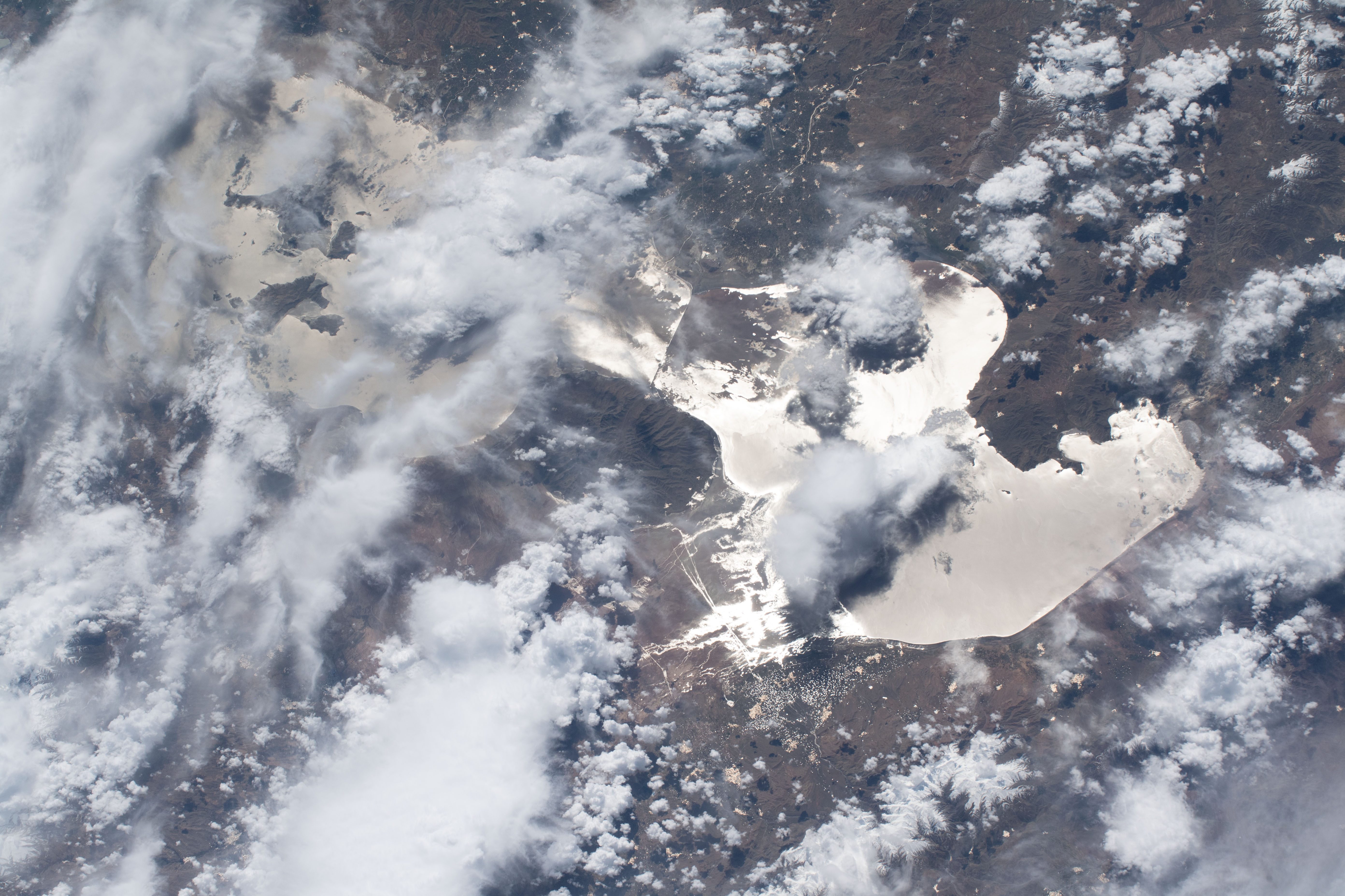 Image display