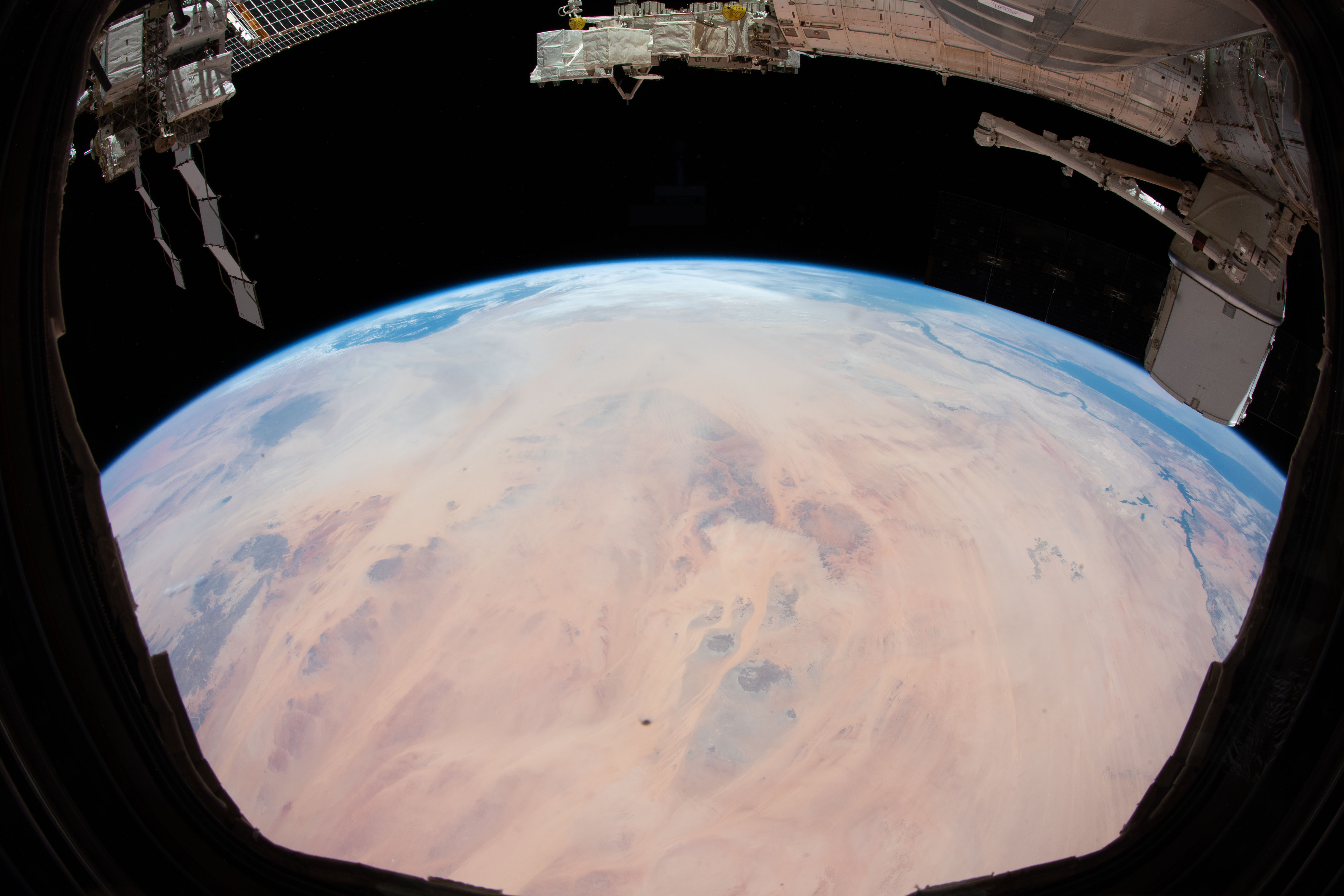 Image display