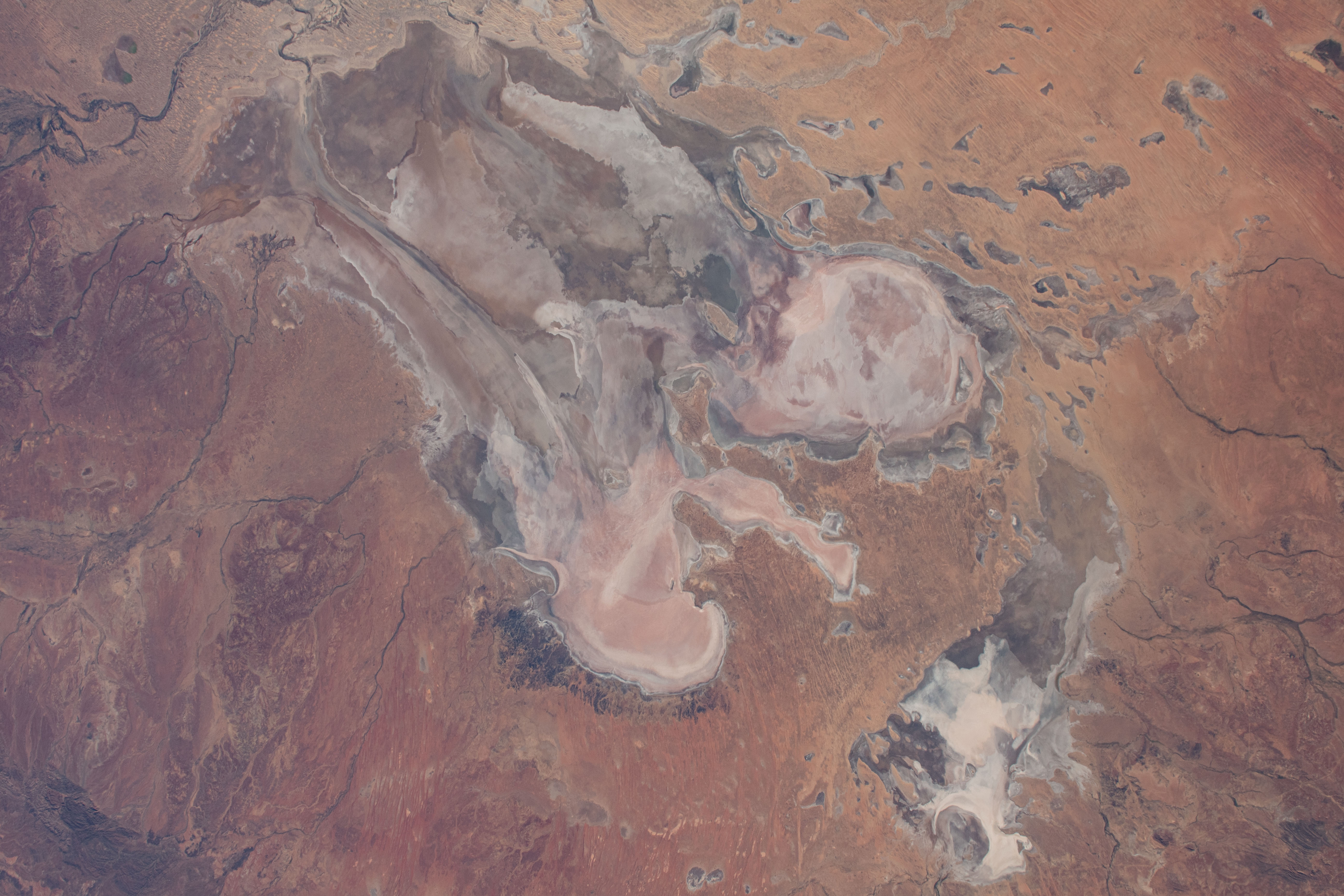 Image display