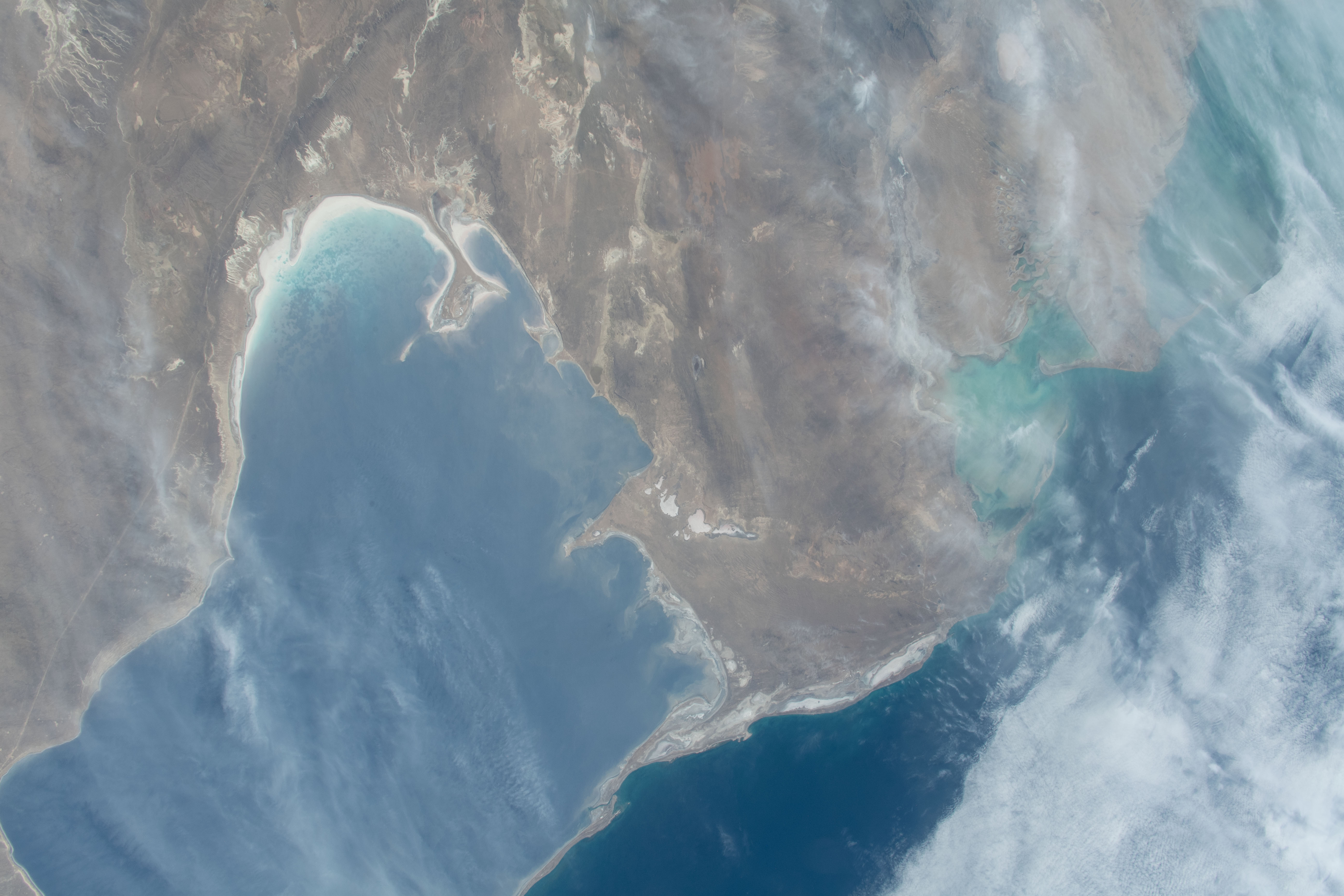 Image display