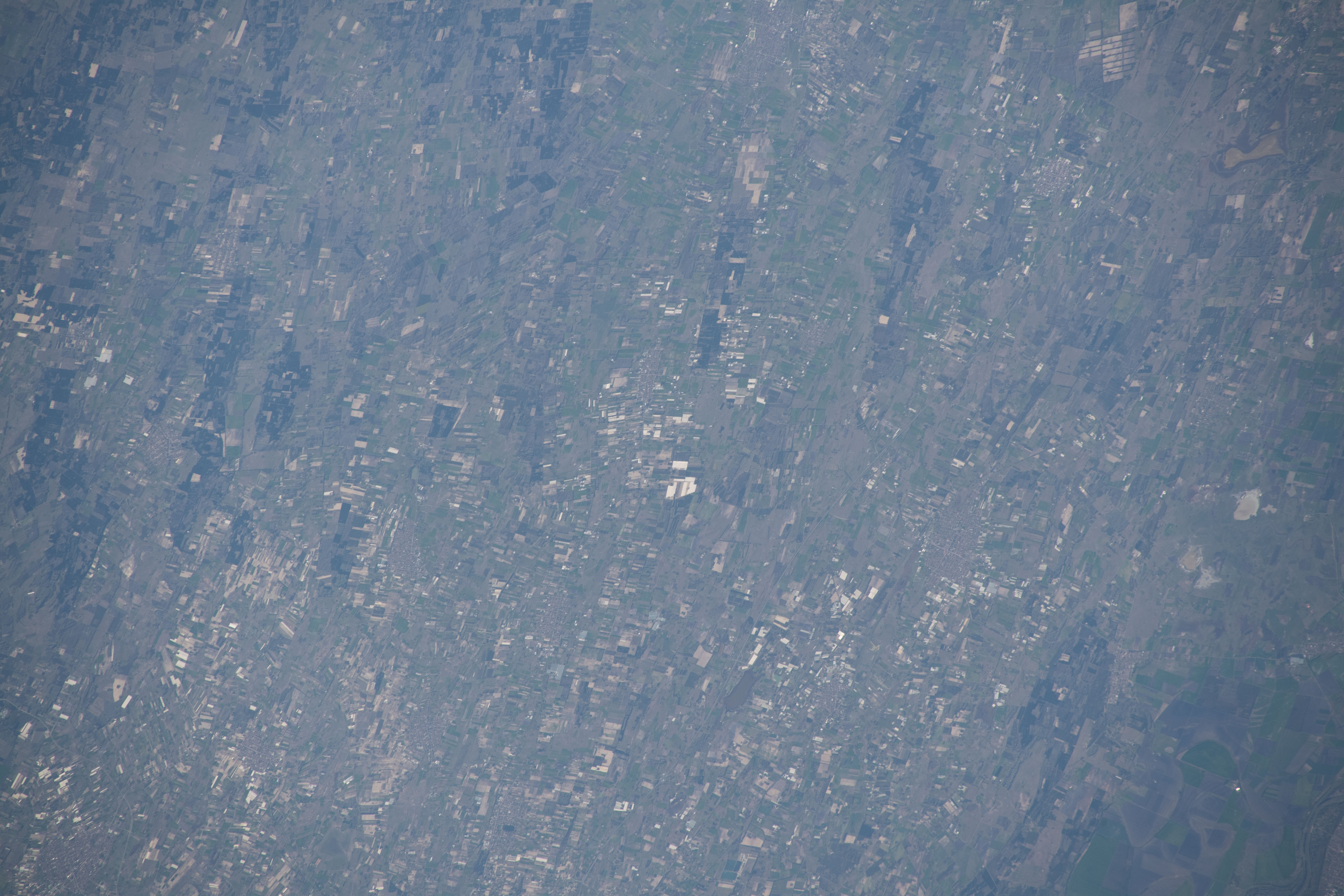 Image display