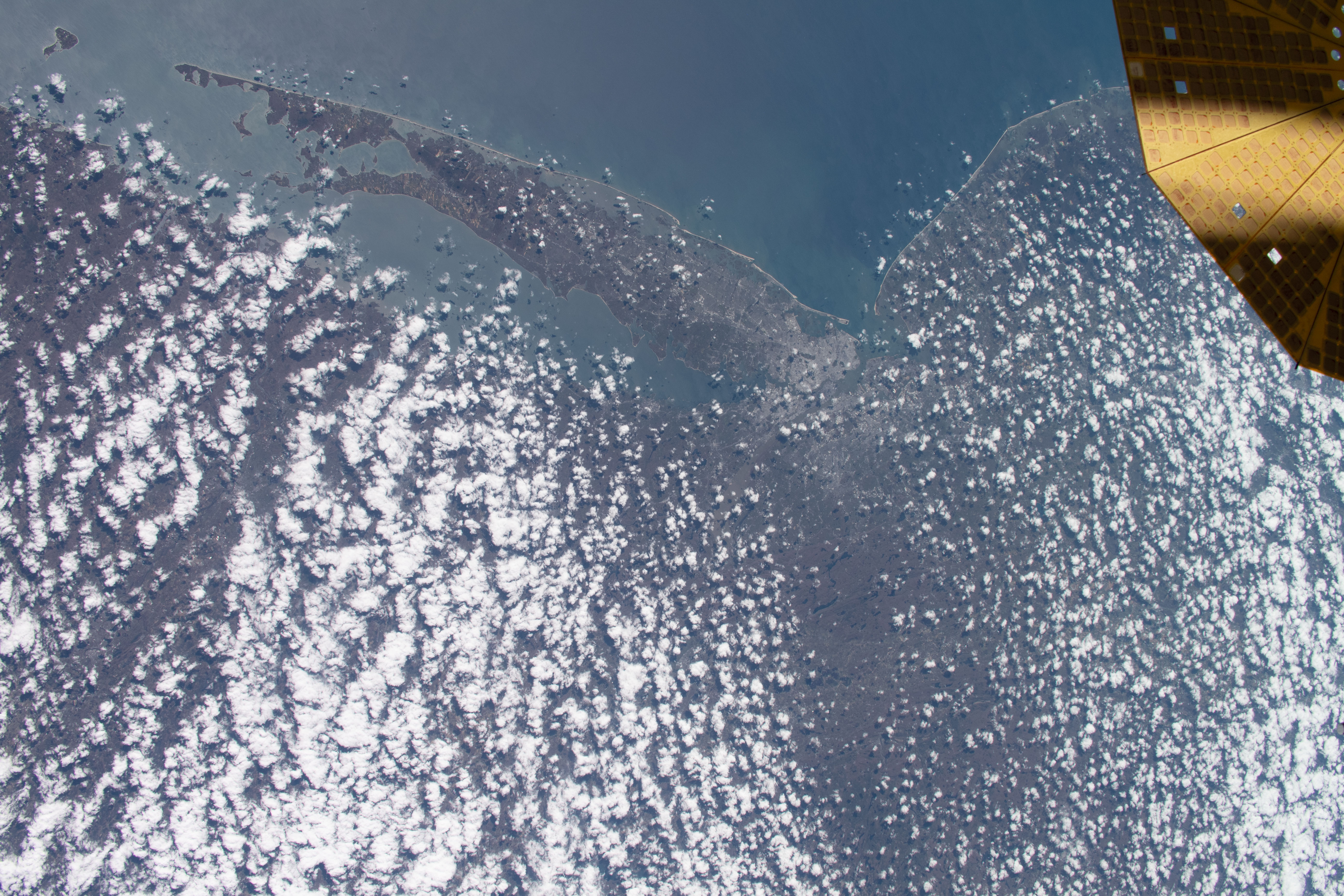 Image display