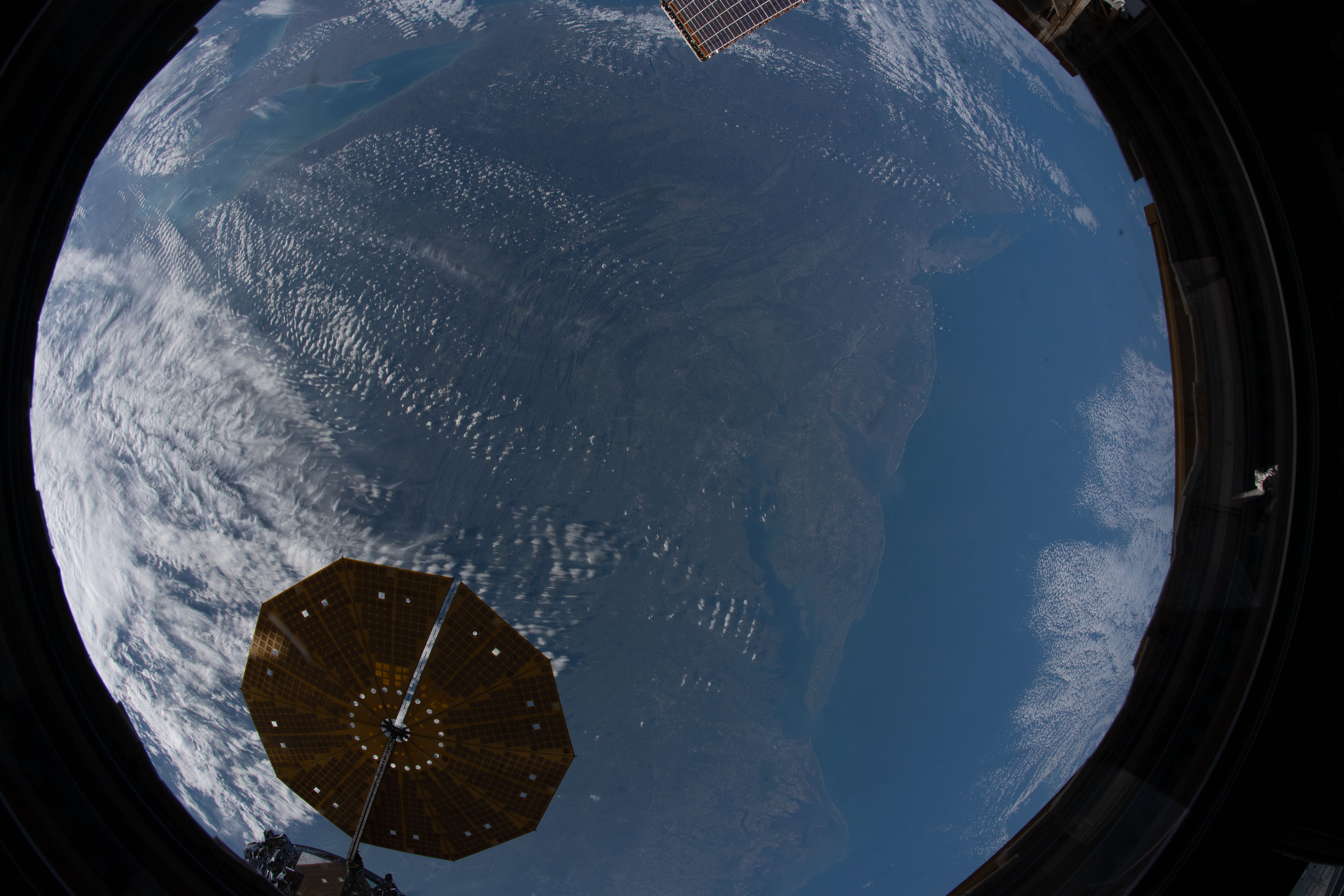 Image display