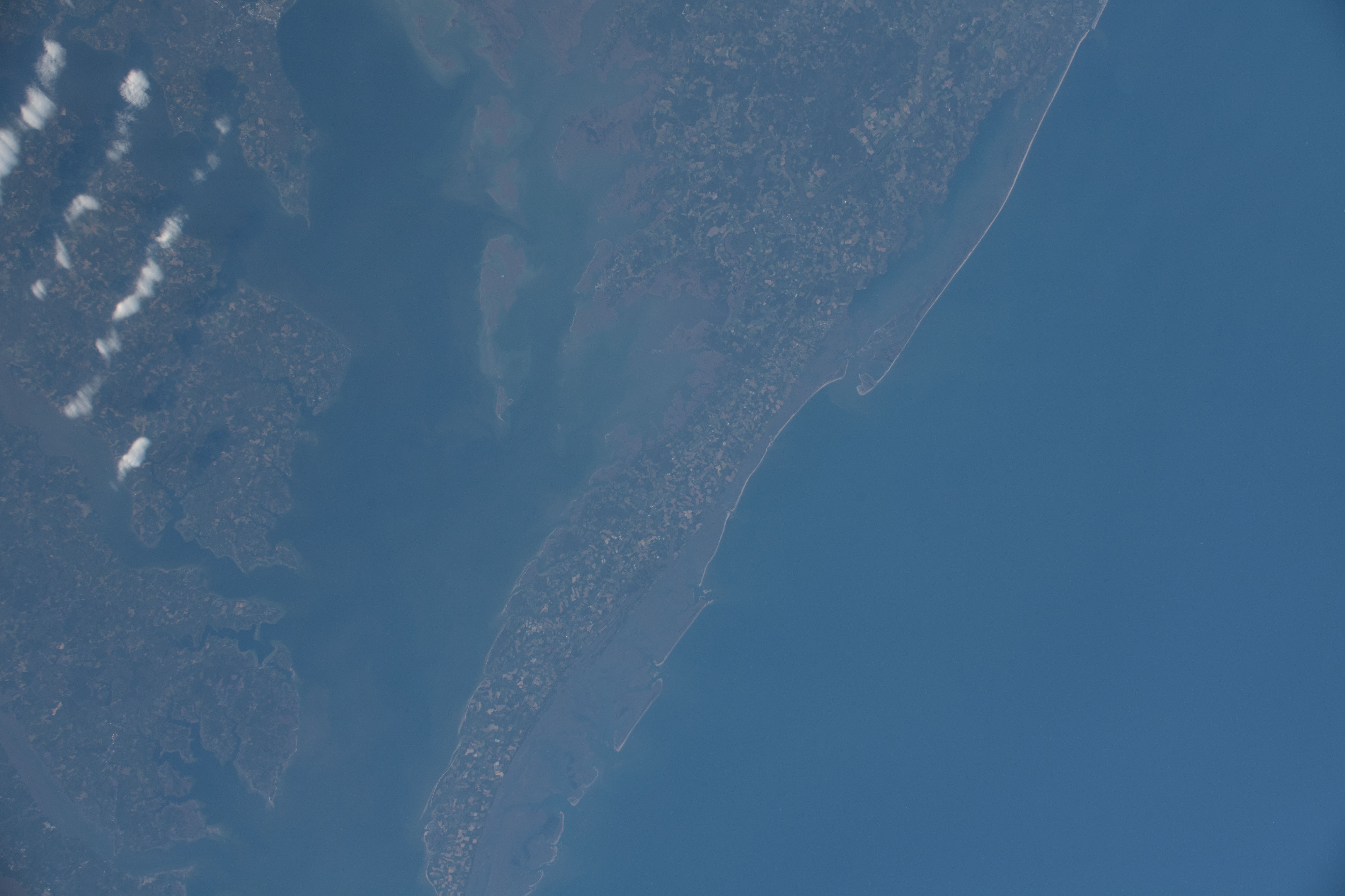 Image display