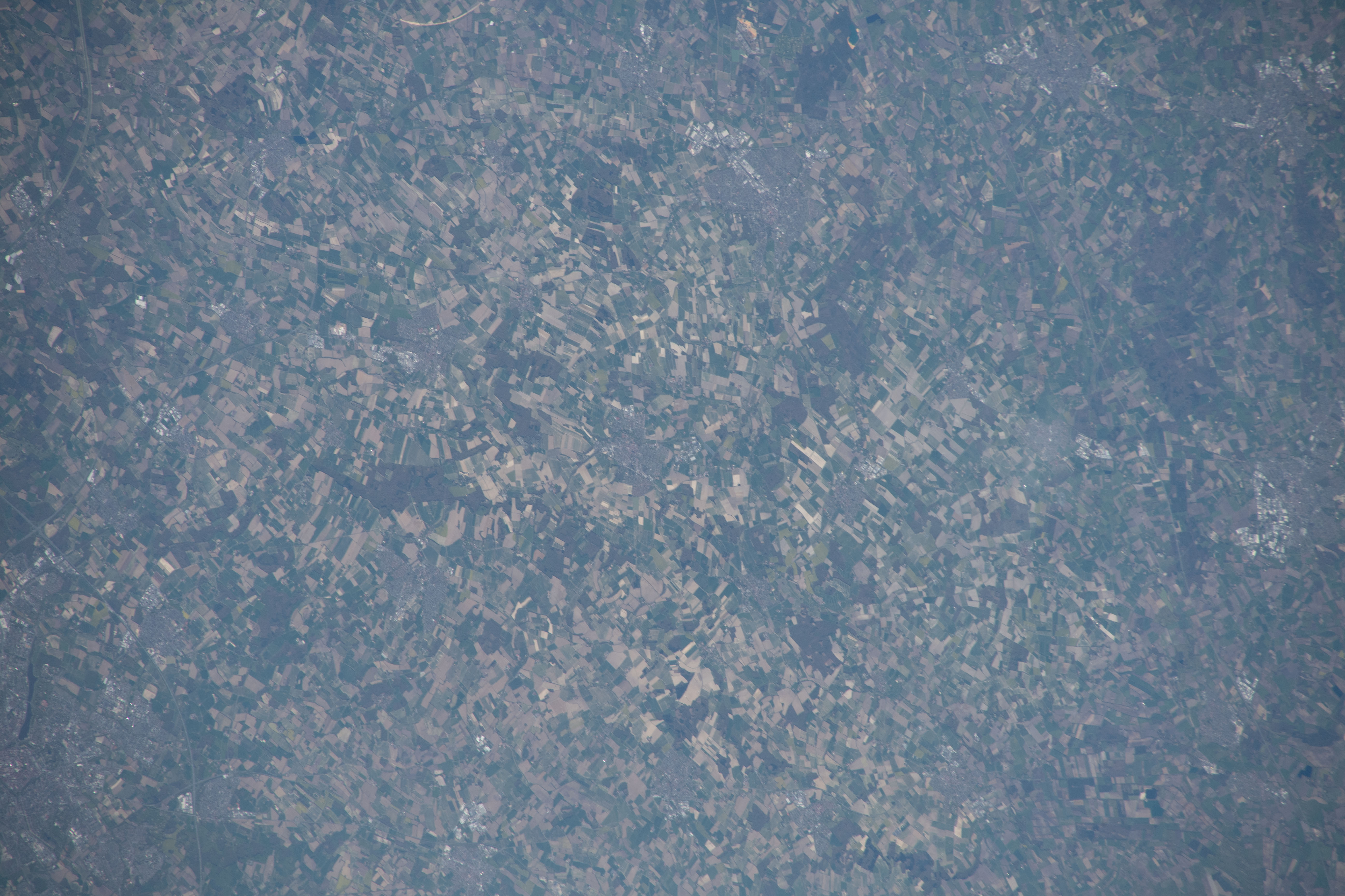 Image display