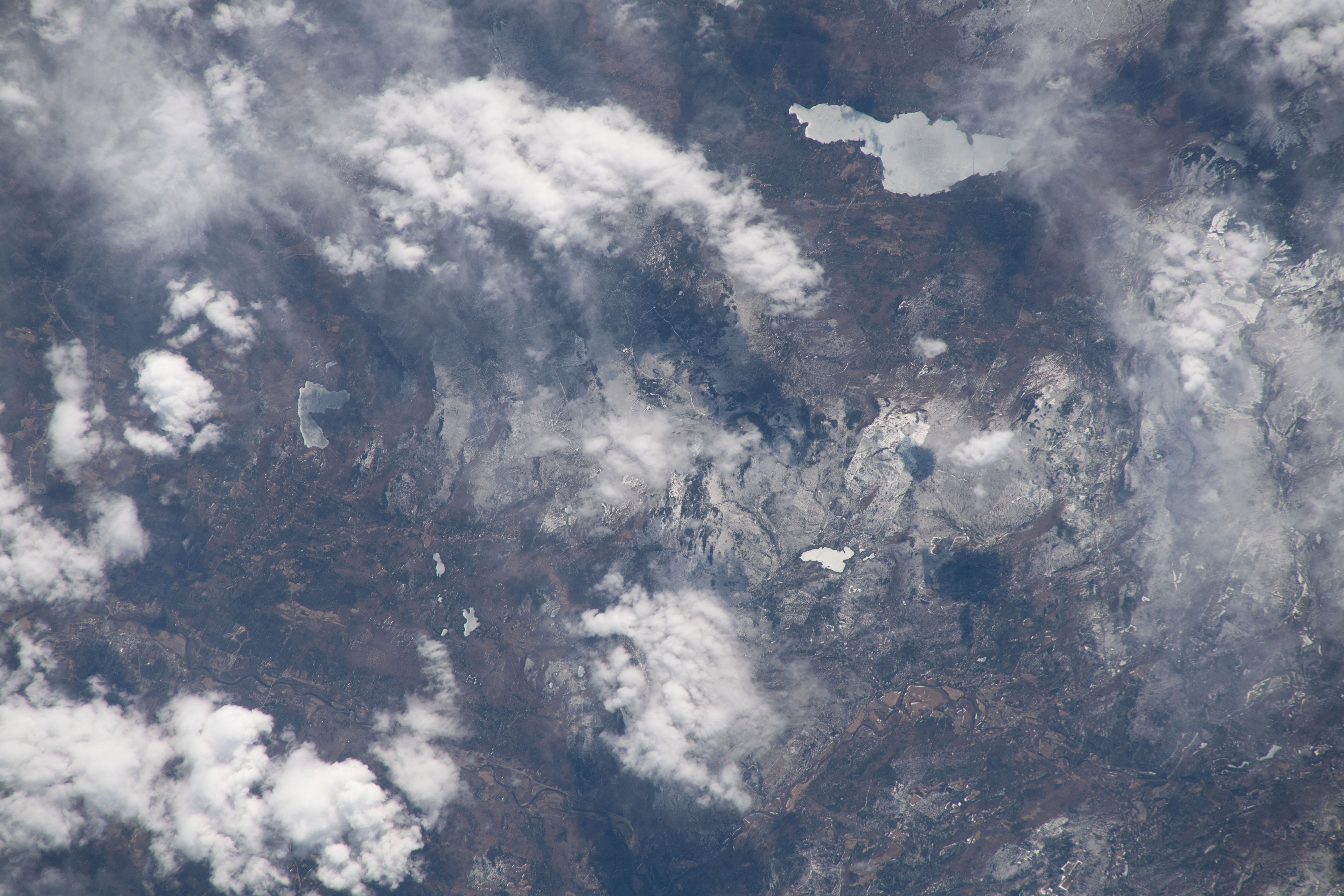 Image display