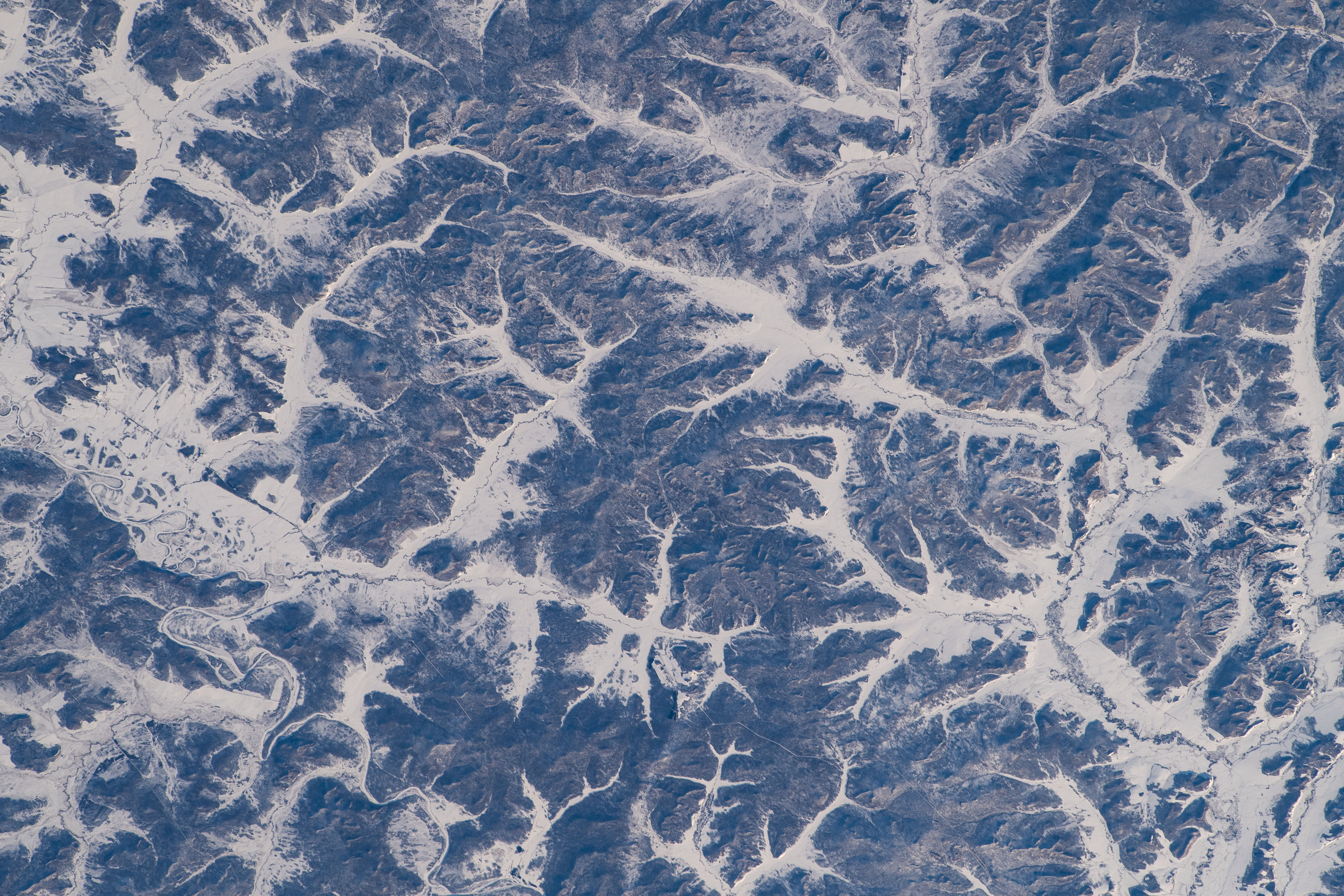Image display