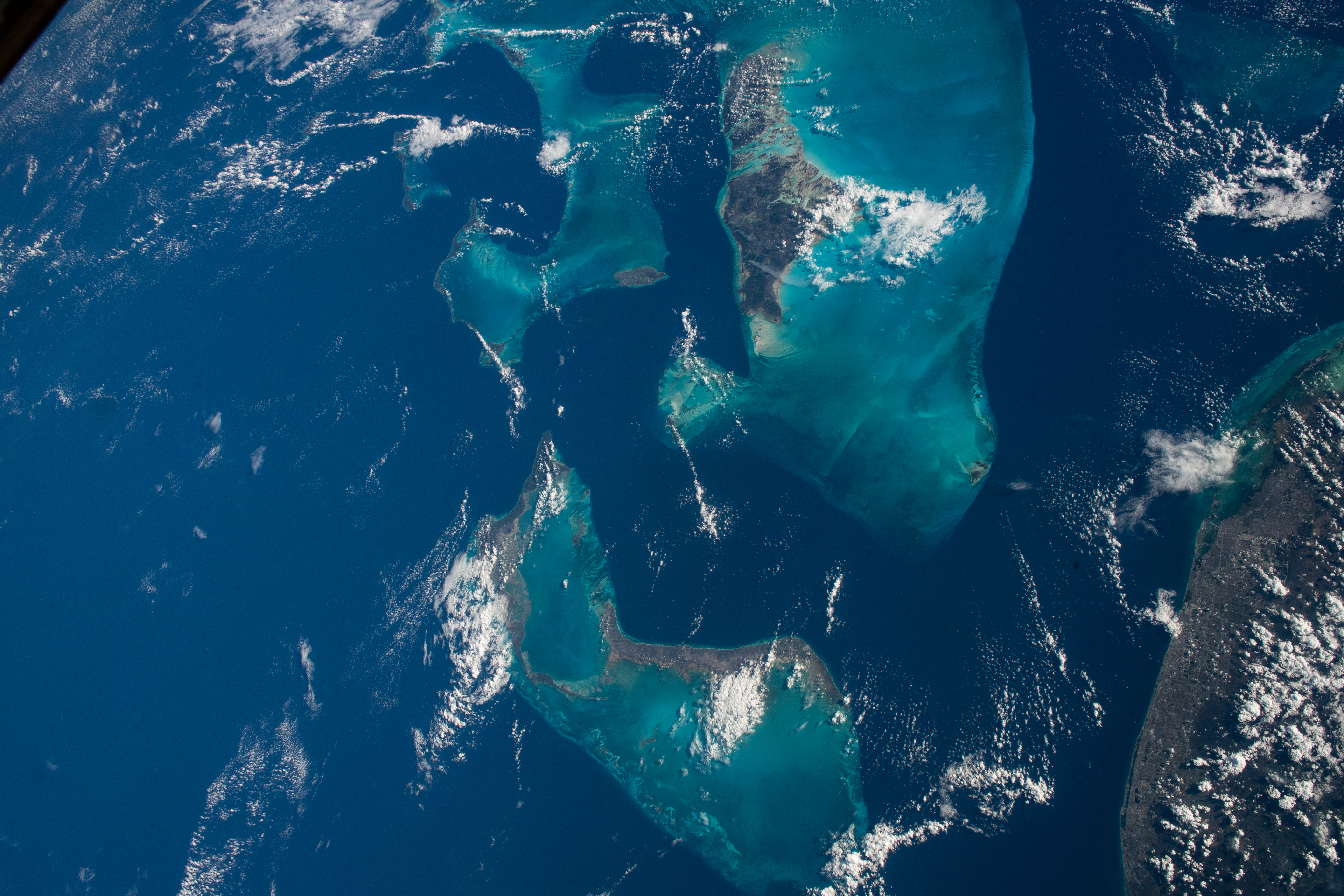 Image display